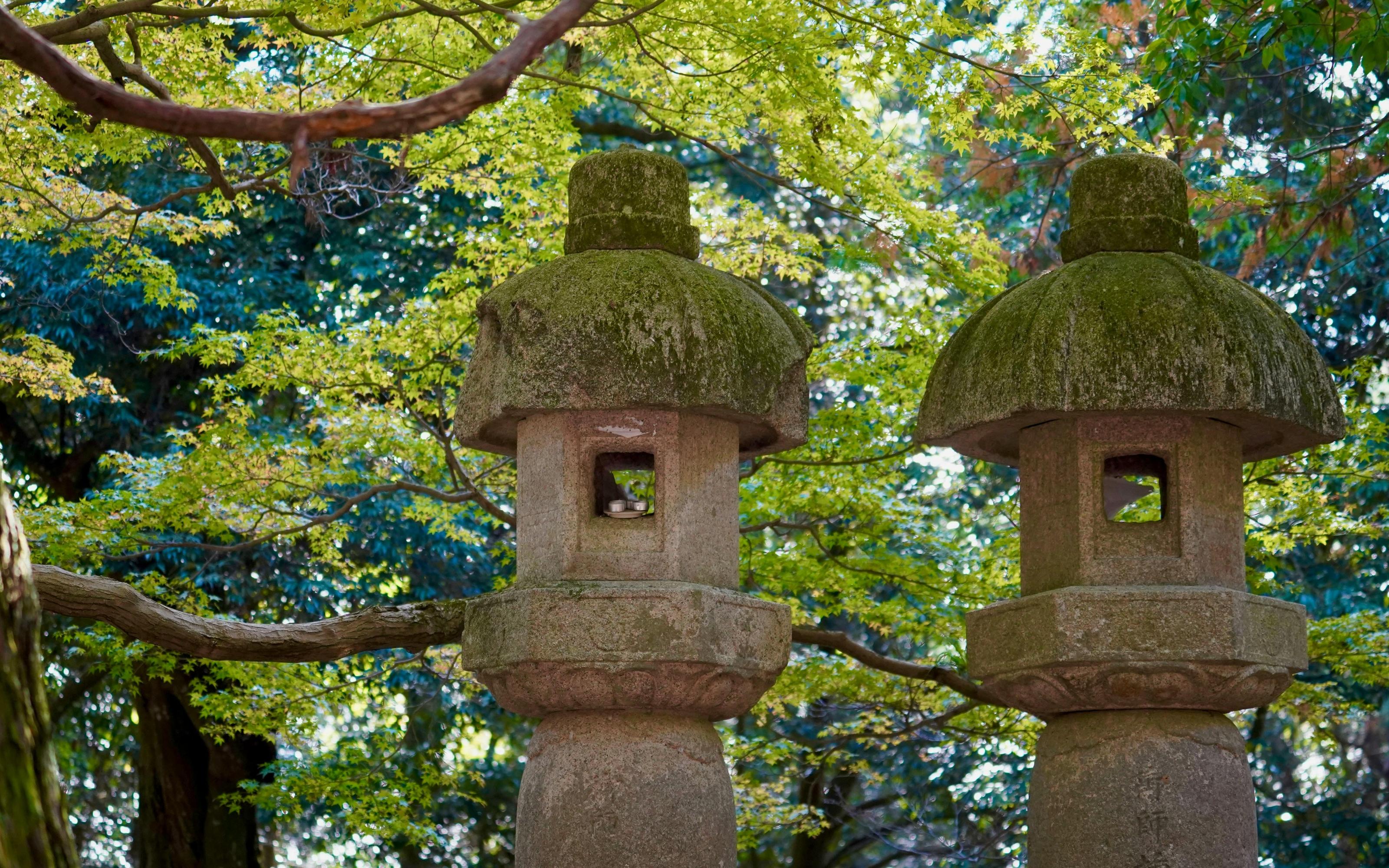 Nara World Heritage: Asuka E-Bike & Megalith Cycling Tour - 2026 (Verified Reviews)