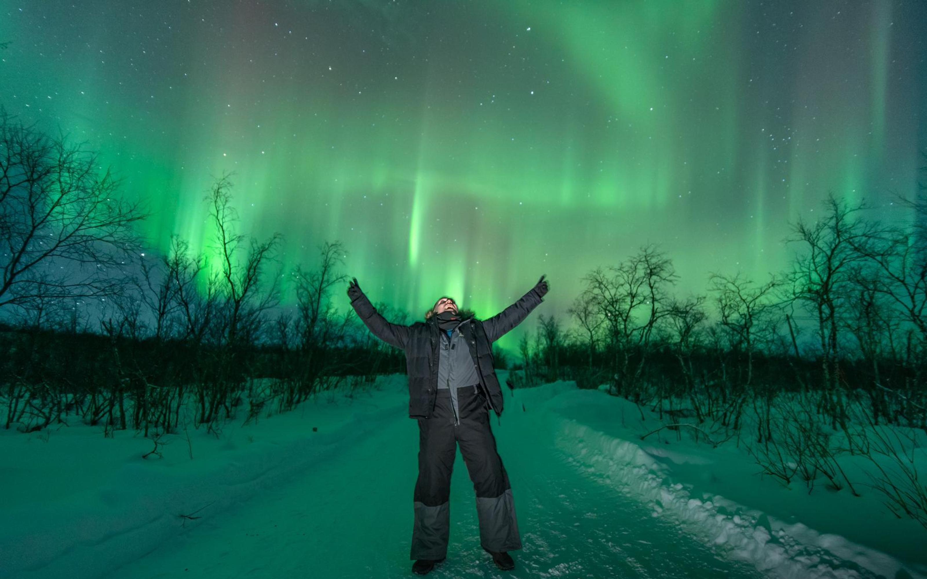 Tromsø: Northern Lights Hunt with Photos and Hot Food - 2026 (Verified Reviews)