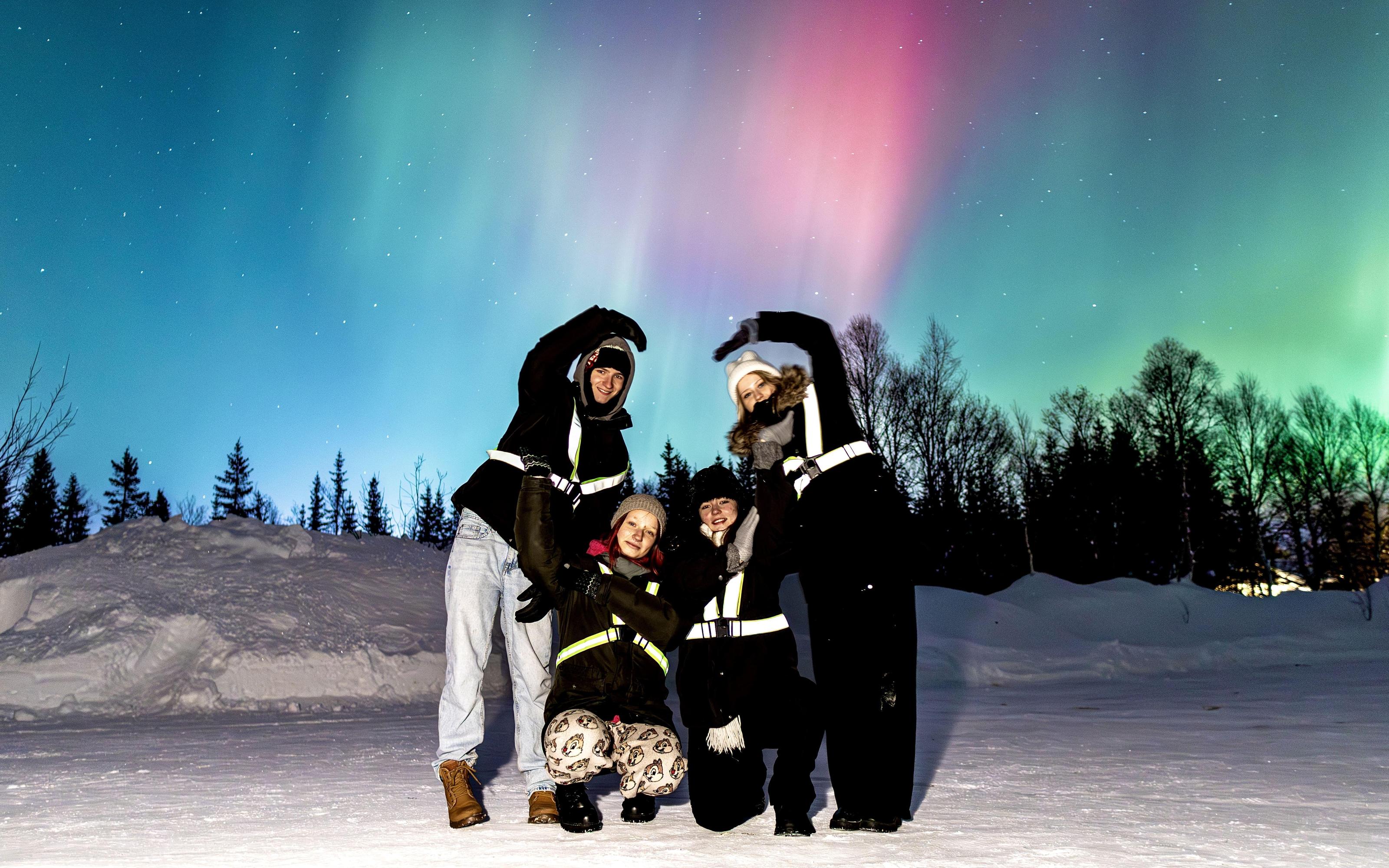 Northern lights Tromso tour - aurora chase in the border country — image 1