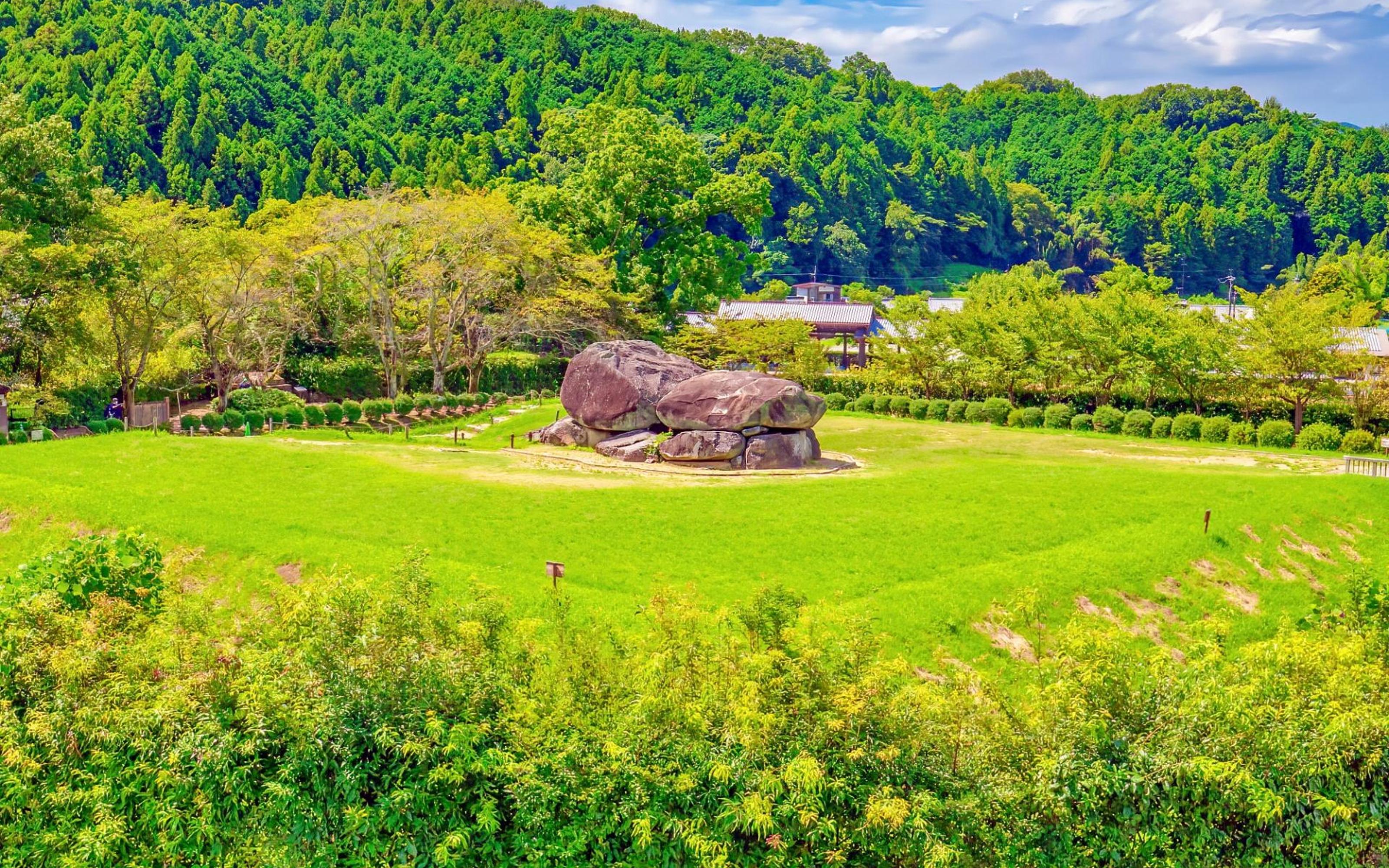 From Kyoto/Osaka: Asuka and Fujiwara Ancient Capitals Tour - 2026 (Verified Reviews)