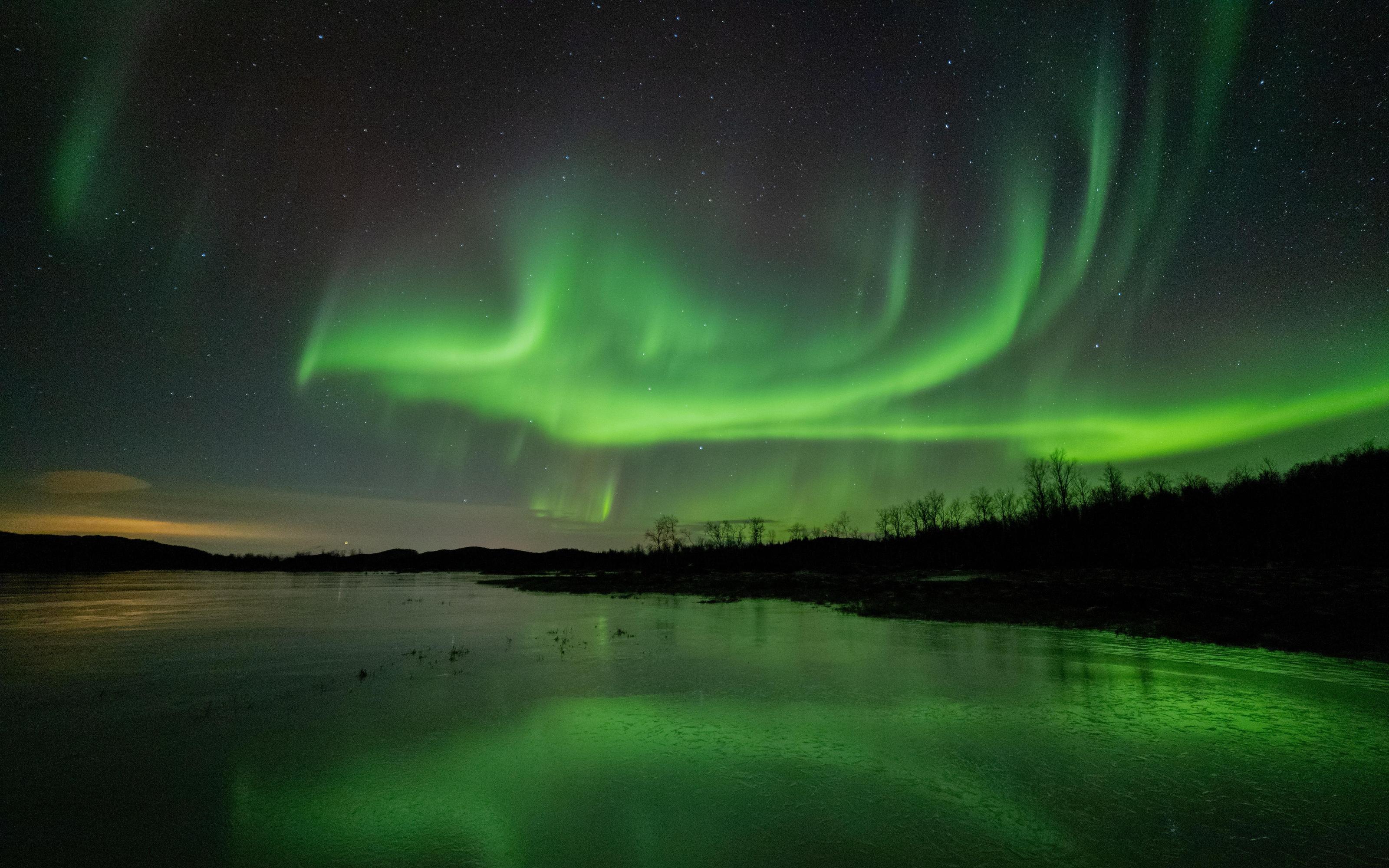 Senja island: Winter light package, 2 nights, pickup Tromsø! - 2026 (Verified Reviews)