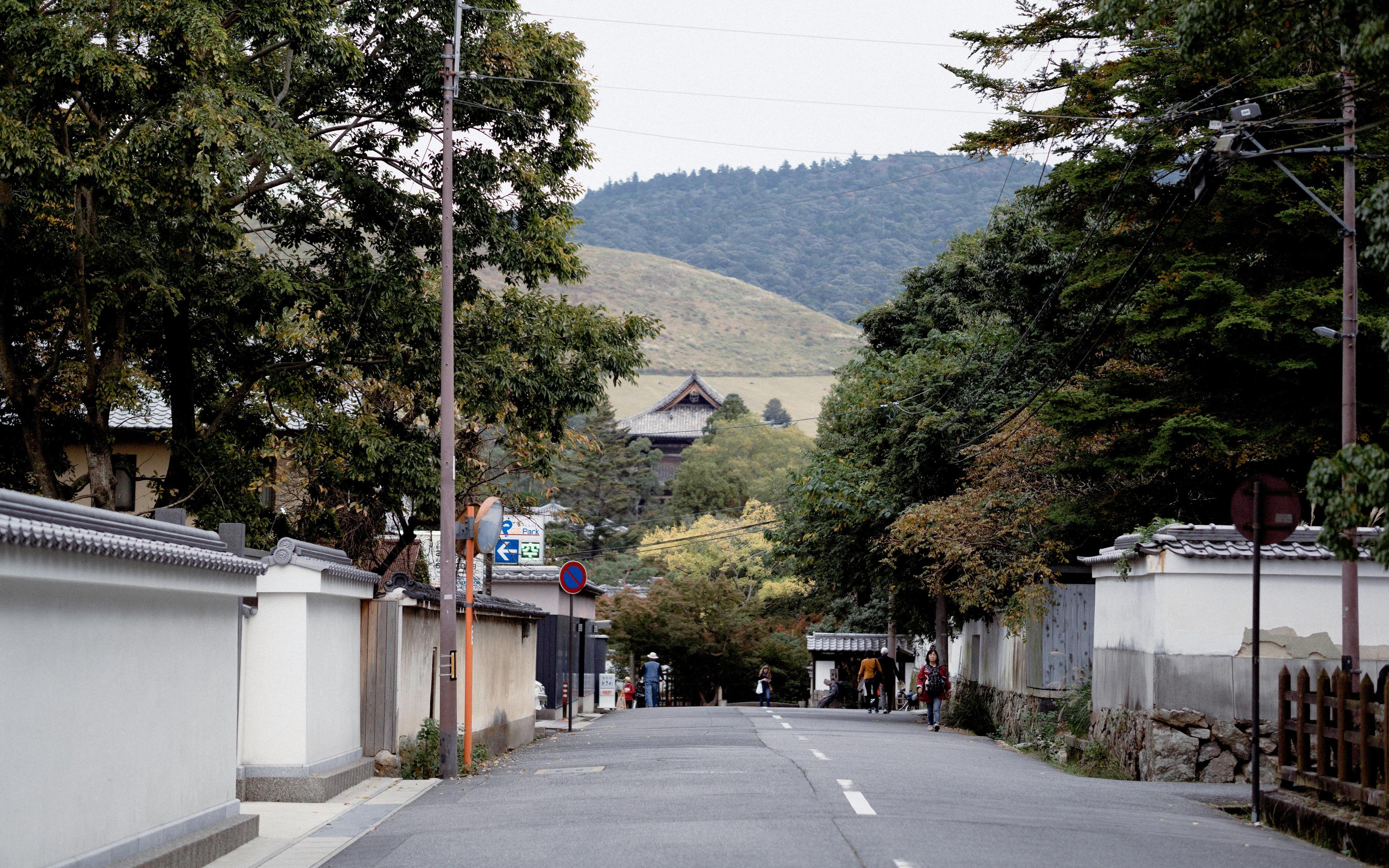 Nara World Heritage: Asuka E-Bike & Megalith Cycling Tour - 2026 (Verified Reviews)
