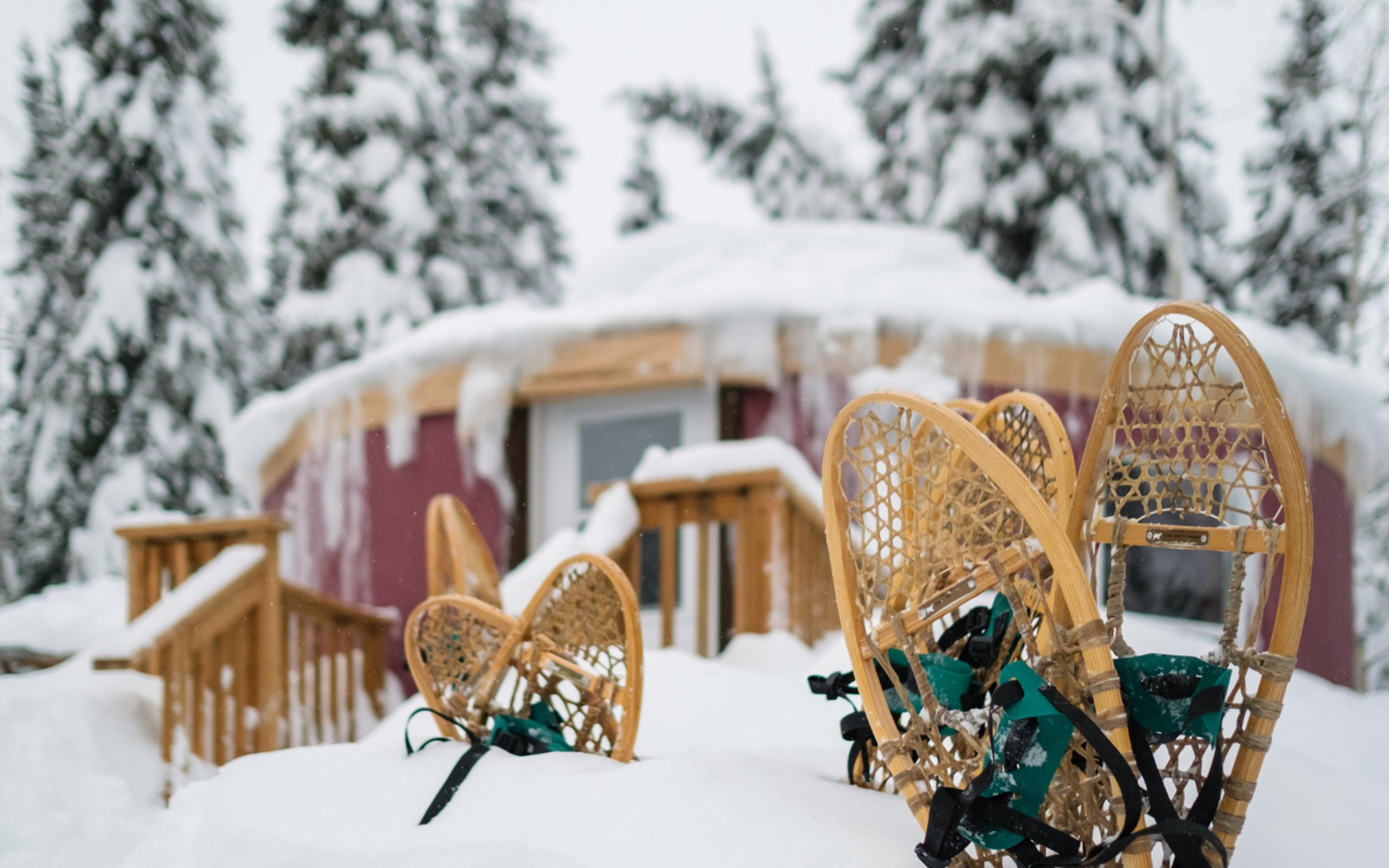 Whitehorse: Aurora Viewing with Wild Adventure Yukon - 2026 (Verified Reviews)