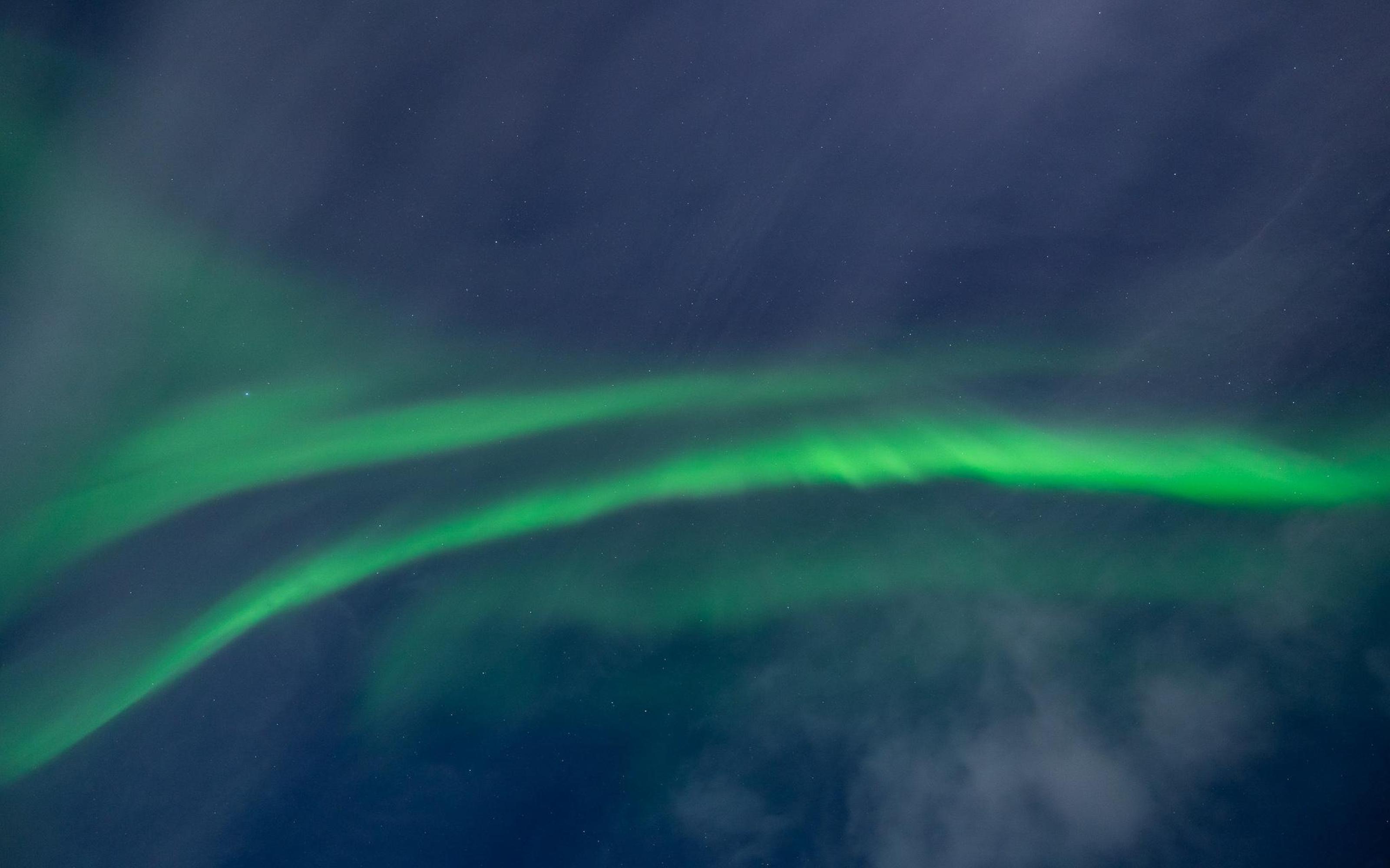 Tromso: Northern Lights Private Tour with Dinner - 2026 (Verified Reviews)