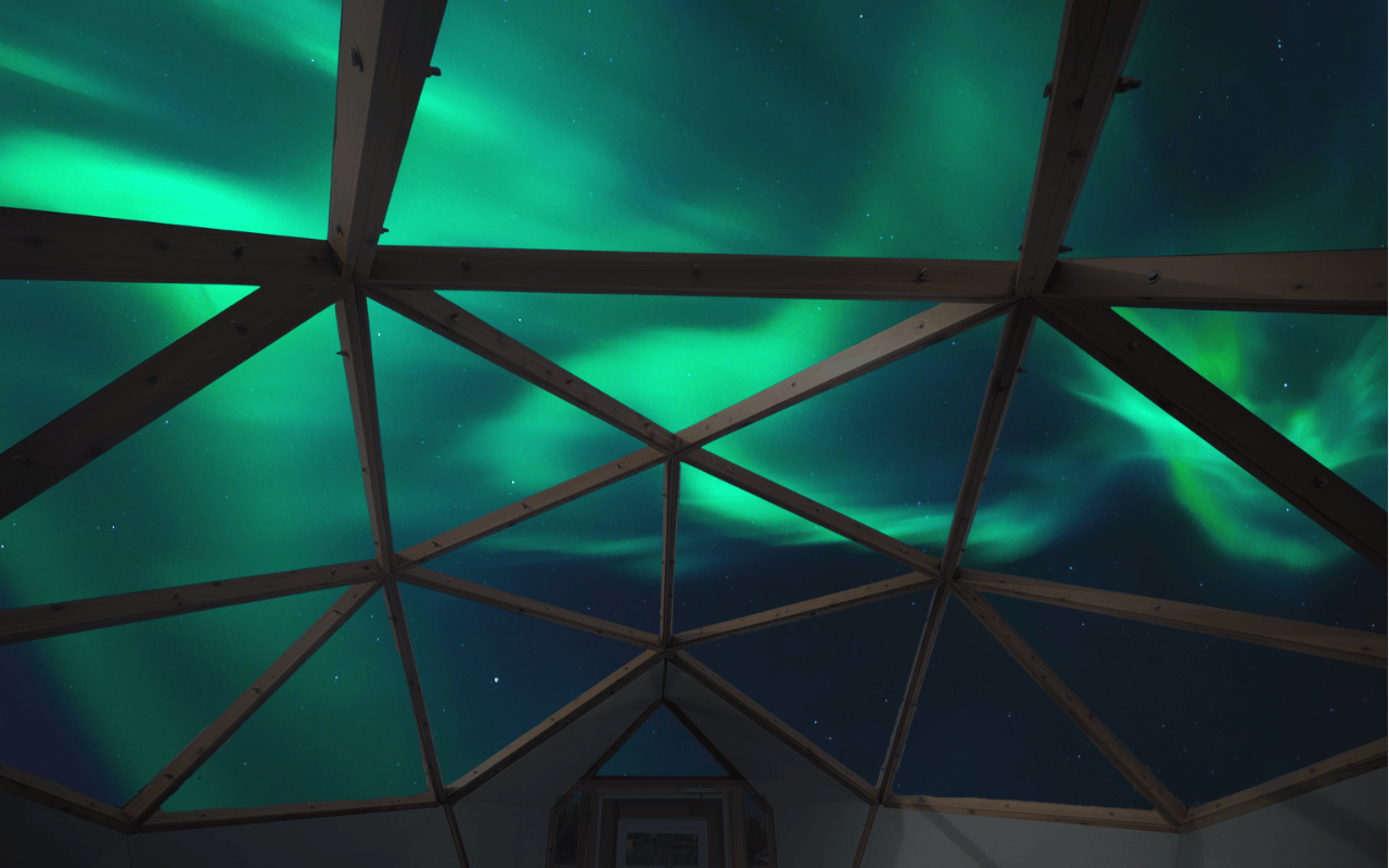Whitehorse: Aurora Viewing with Wild Adventure Yukon - 2026 (Verified Reviews)