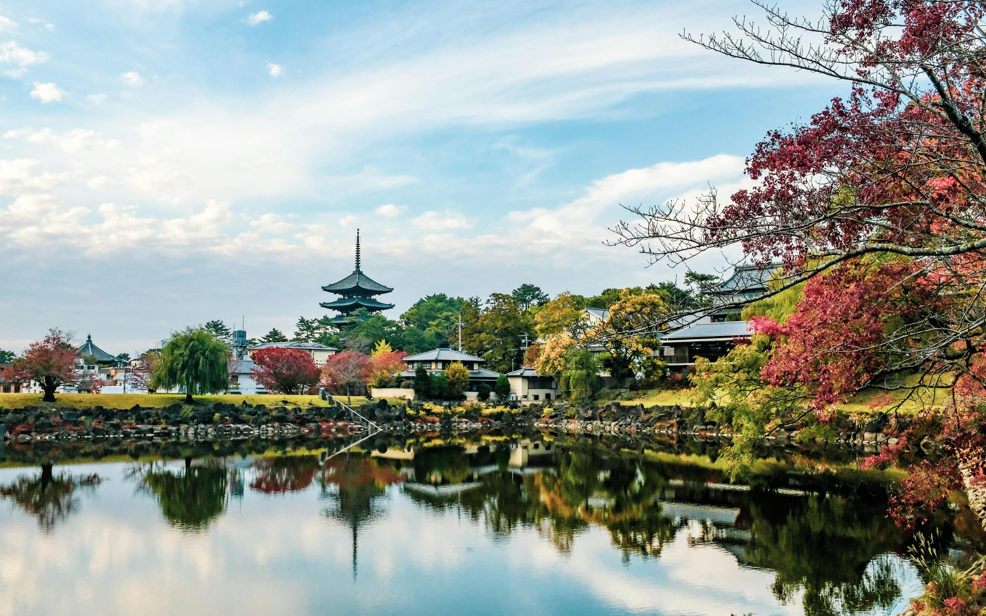 Nara World Heritage: Asuka E-Bike & Megalith Cycling Tour - 2026 (Verified Reviews)