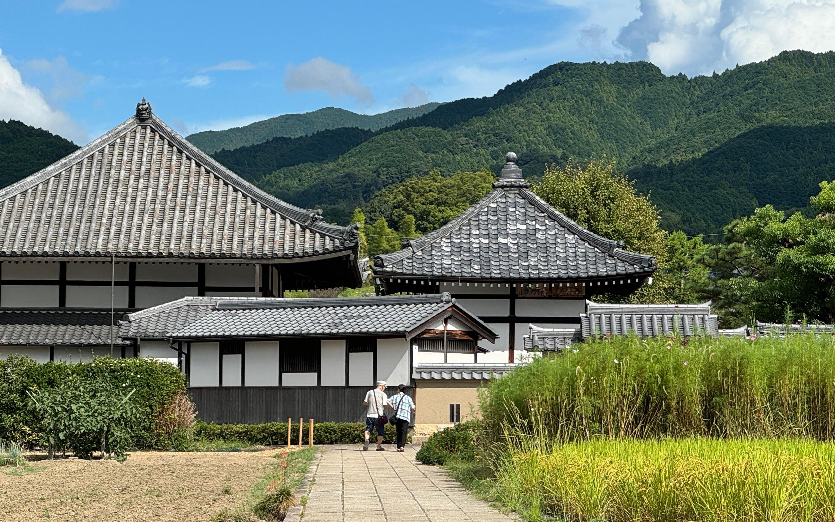 Asuka day trip - megalithic tombs and rice terraces in Japan's first capital — image 3