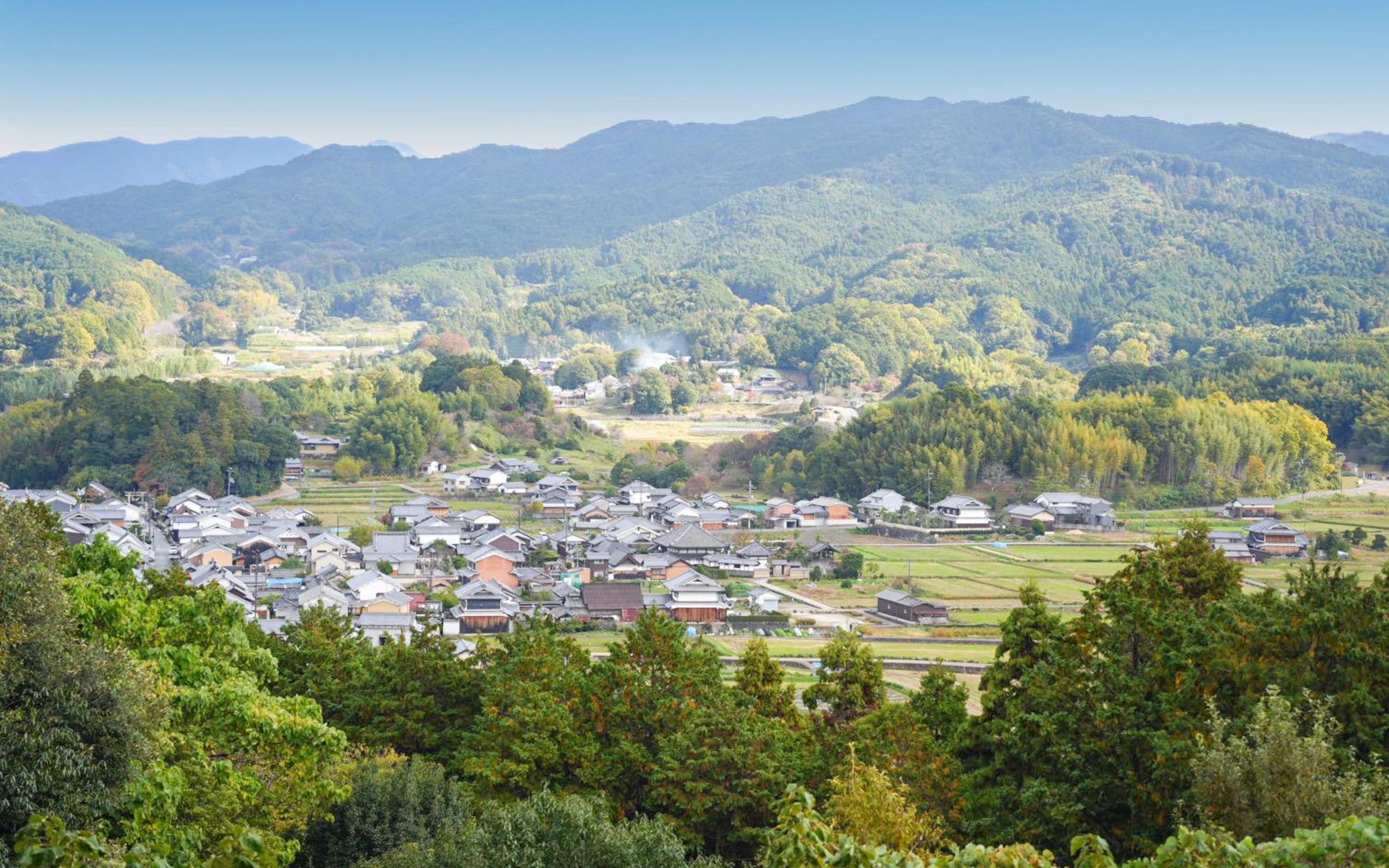 Asuka: Historical Cycling Tour with Guide and Bike Rental - 2026 (Verified Reviews)