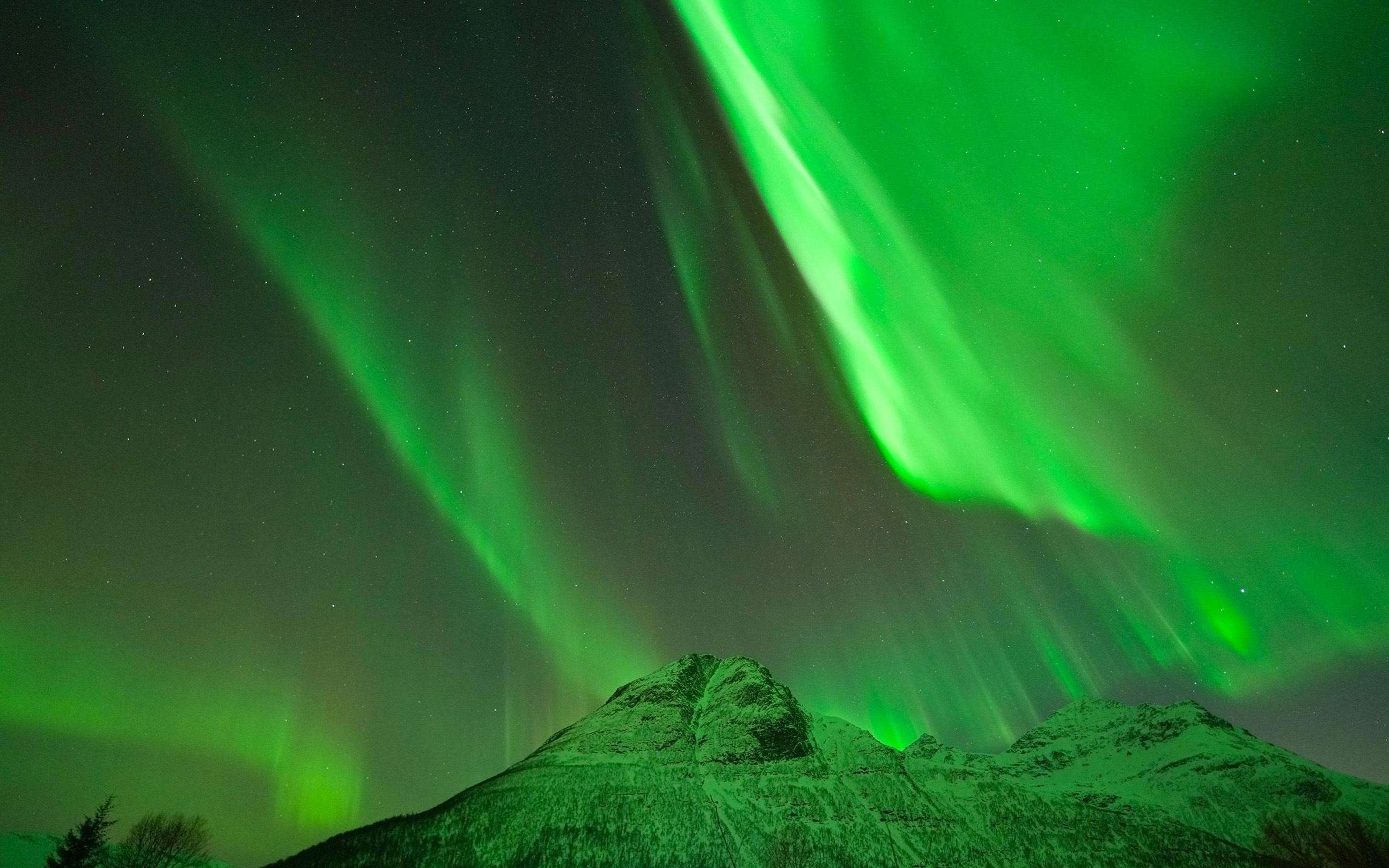 Northern lights Tromso tour - aurora chase in the border country — image 2