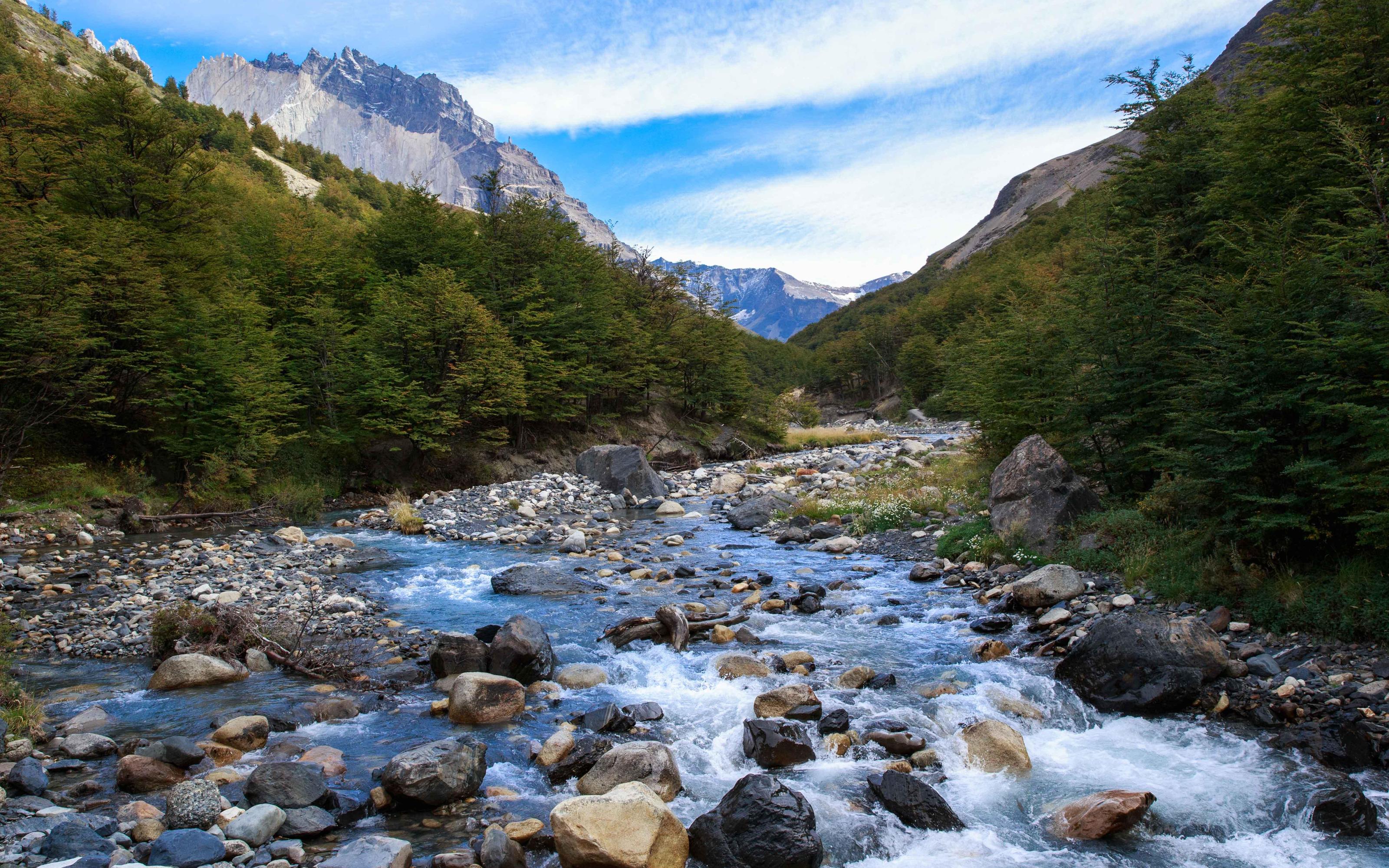 Torres del Paine: W Trekking - 2026 (Verified Reviews)