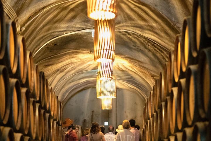 Douro Valley: Winery Tour at Quinta do Tedo and Tastings: view 1