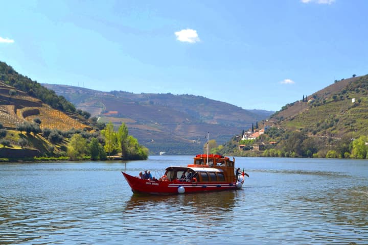 Operator photo 1 of a wine Douro Valley tour from Porto