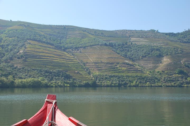 Pinhão: Rabelo Boat 1-Hour Tour: view 1