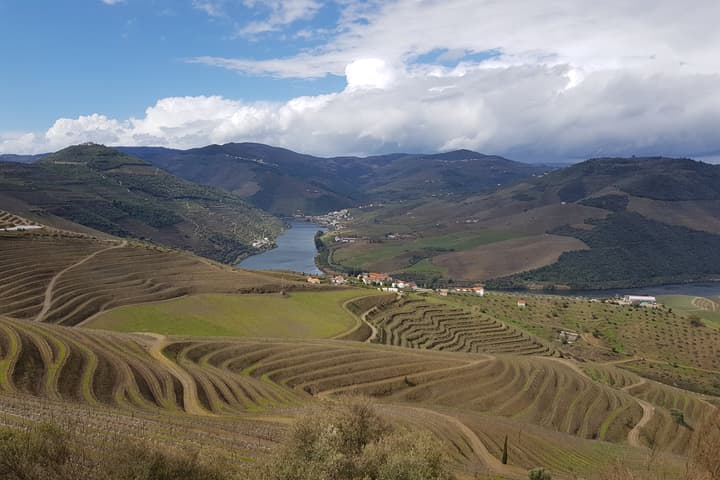 Operator photo 1 of a wine Douro Valley tour from Porto