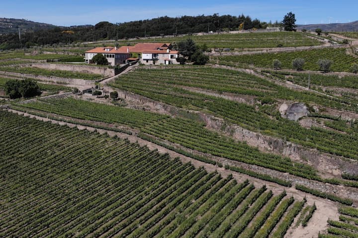 Lamego: Quinta da Portela de Baixo Winery Tour and Tasting: view 1