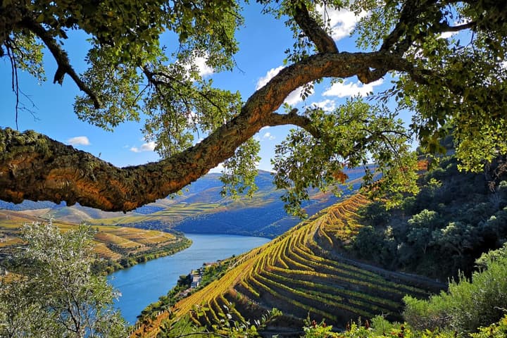 Operator photo 1 of a small group Douro Valley tour from Pinhão