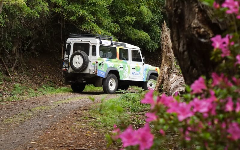Jeep among flowers and greenery in Santa Maria