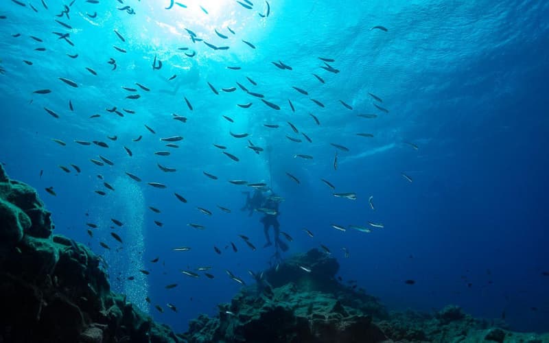 Scuba diving in Santa Maria, Azores