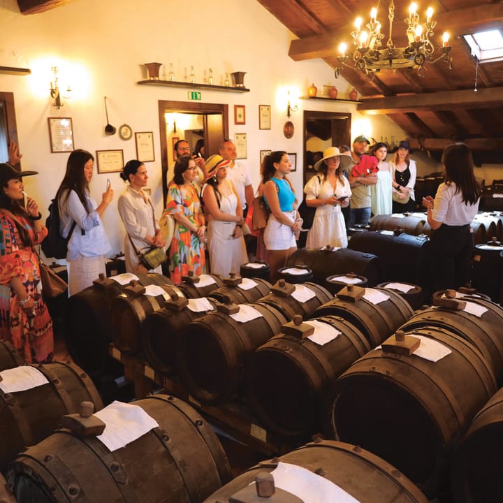 Modena Balsamic Vinegar Cellar Tour & Tasting