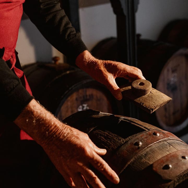 Acetaia Classica: Balsamic Vinegar Factory Tour & Tasting