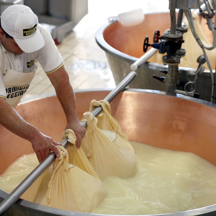 Parmigiano Farm Tour with Tasting & Transfer