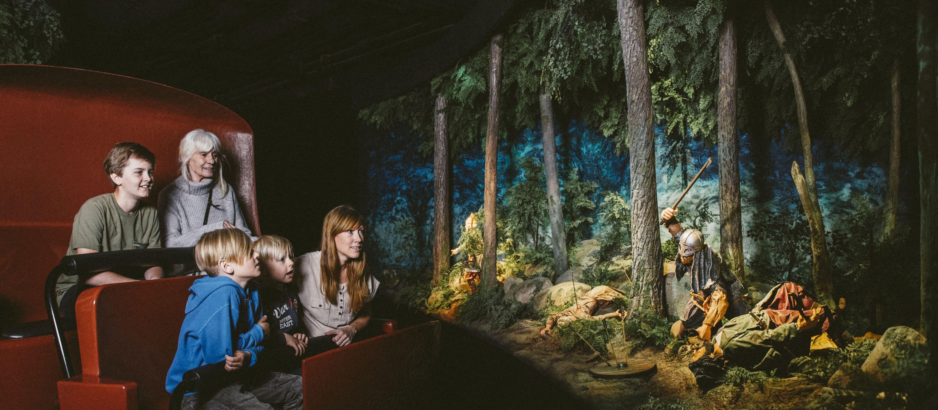 Wikinger-Museum: Eintrittskarte