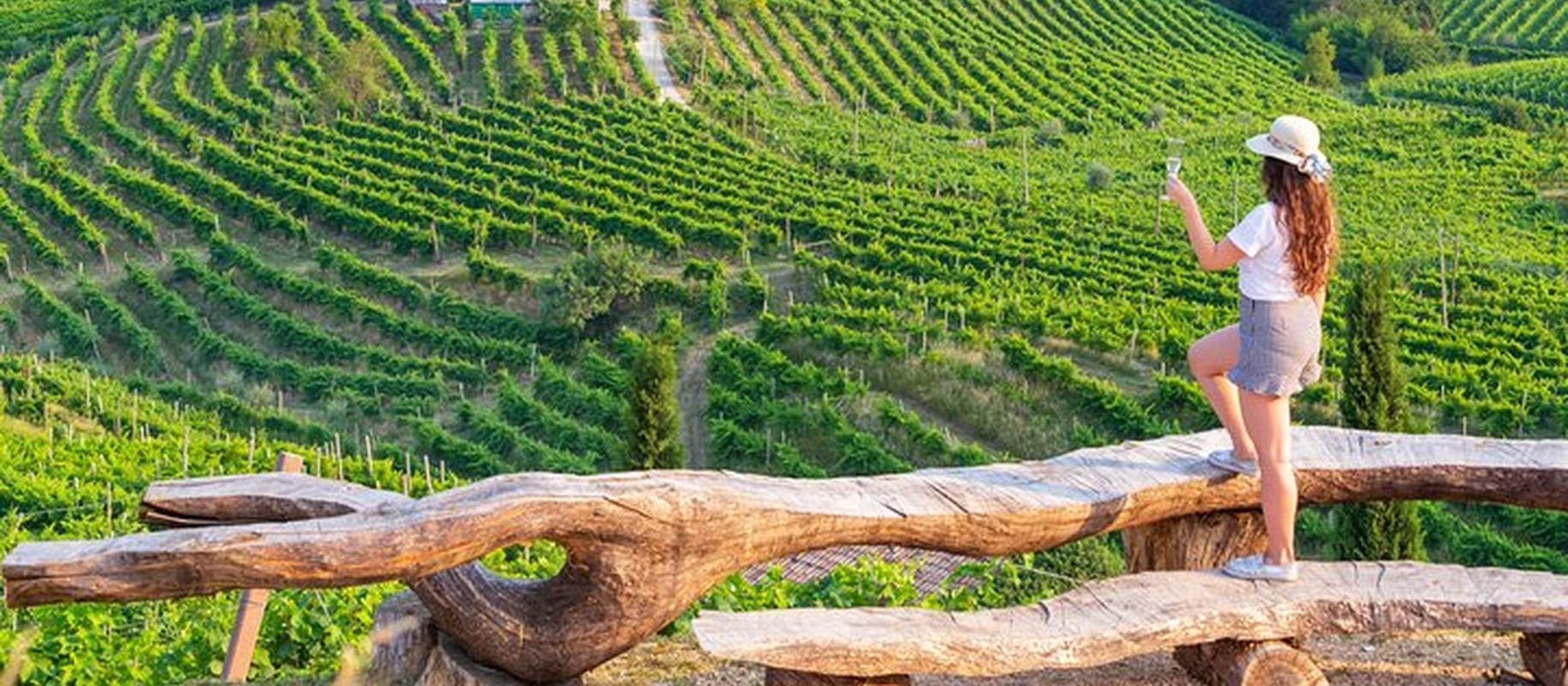 Wine and Food tour in the Prosecco Hills