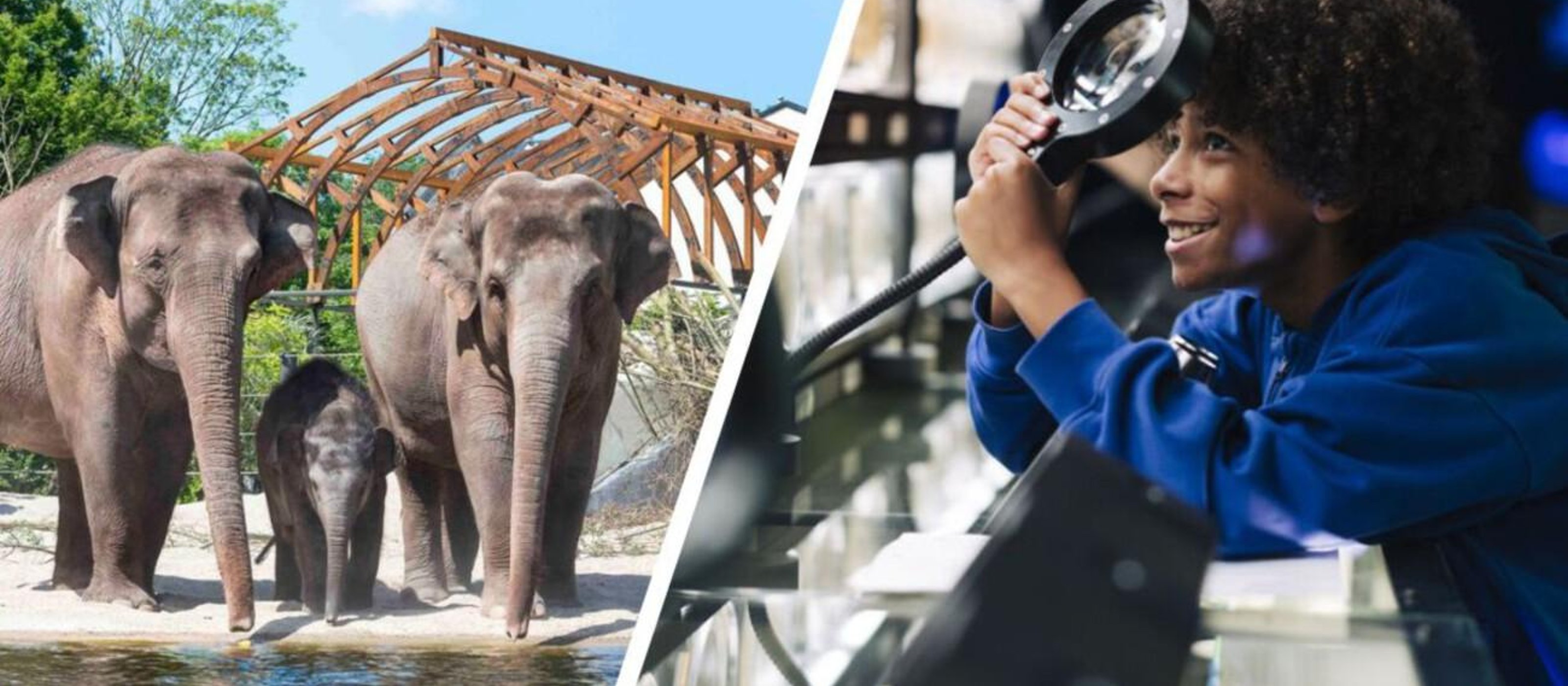 ARTIS Amsterdam Royal Zoo & Micropia: Skip The Line Entry Ticket