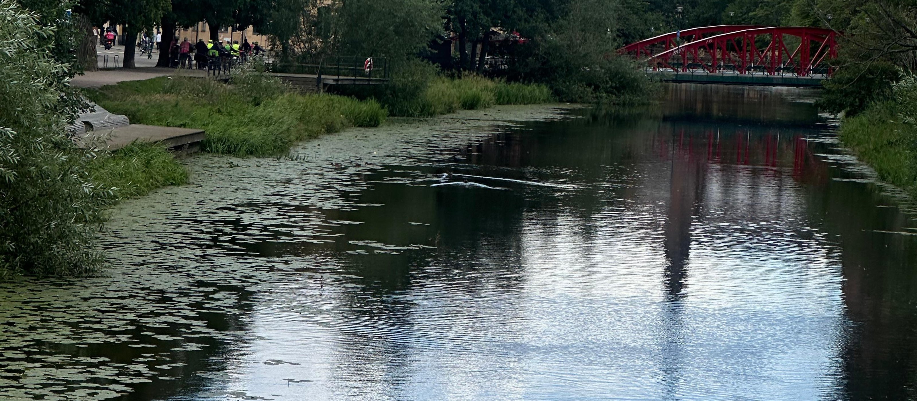 Uppsala Kajak- oder Kanufahrt-Erlebnis