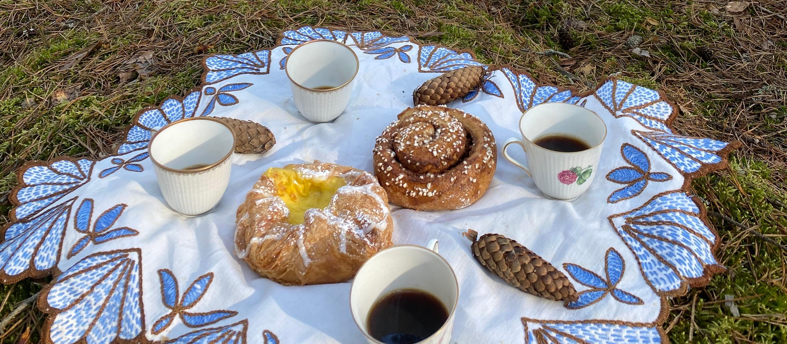 Hundespaziergang im Naturreservat mit schwedischer Fika