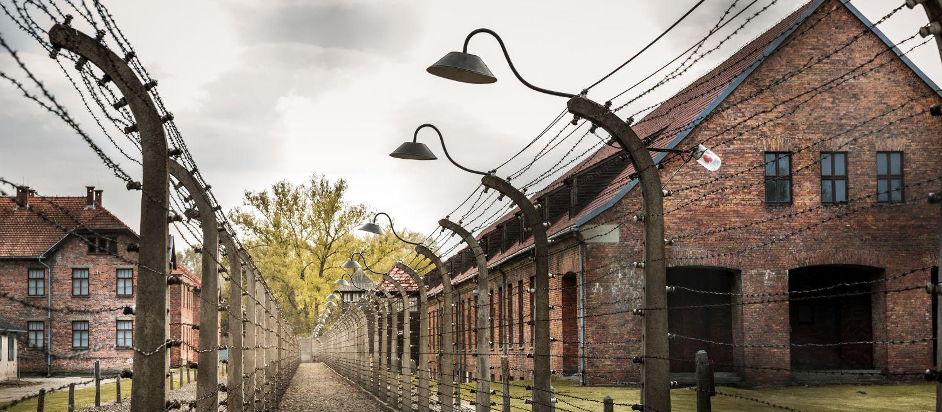 Prag Tour nach Auschwitz Birkenau