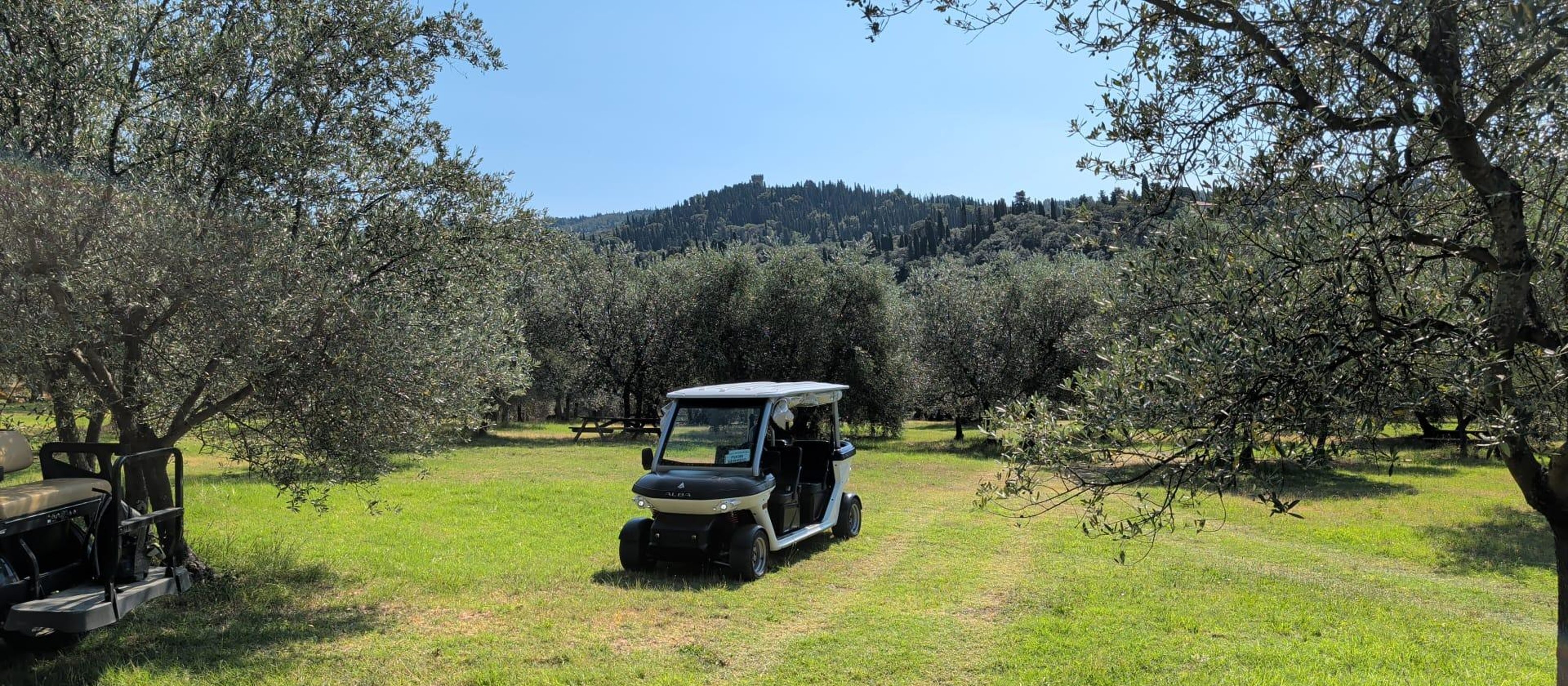Florence and Fiesole by golf cart: views and hills with Maiano option