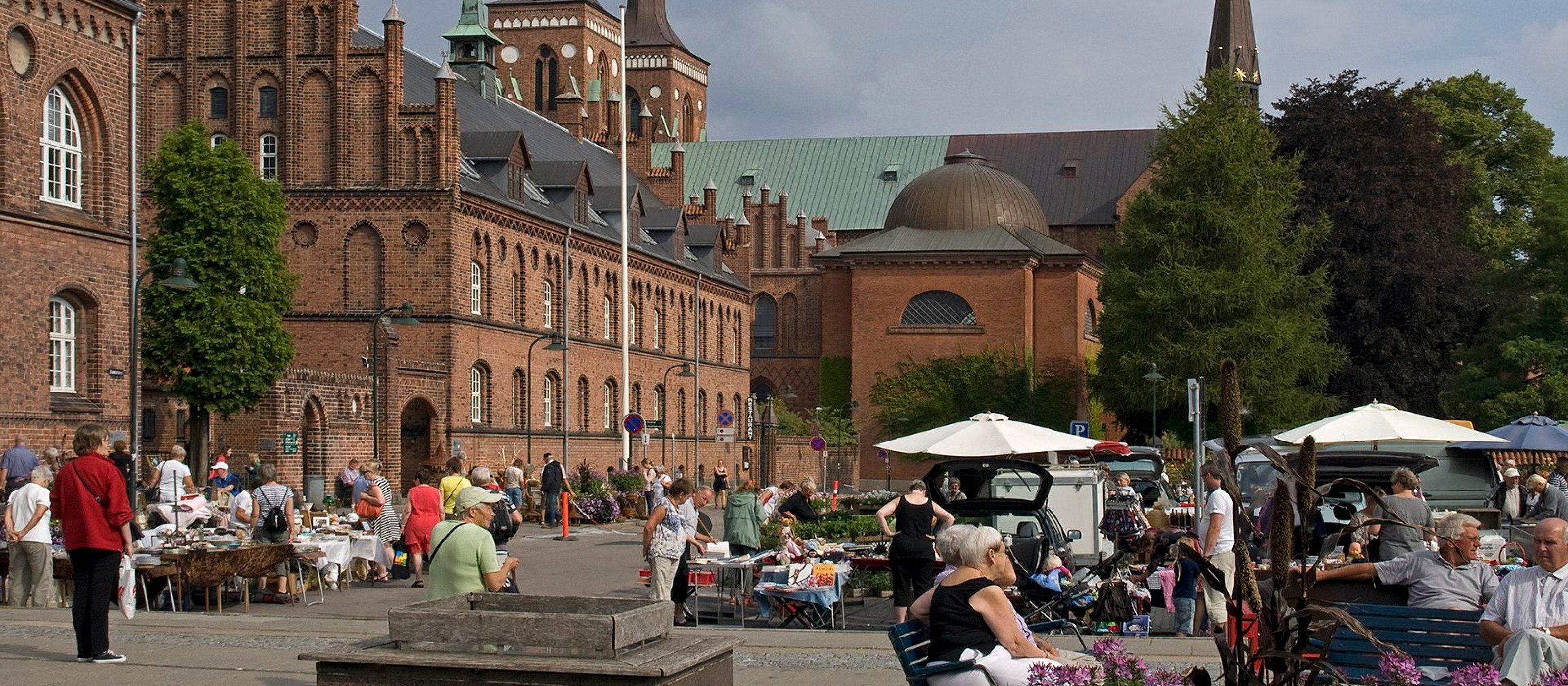 Tour durch Roskilde, die Wikingerstadt (auf Englisch)