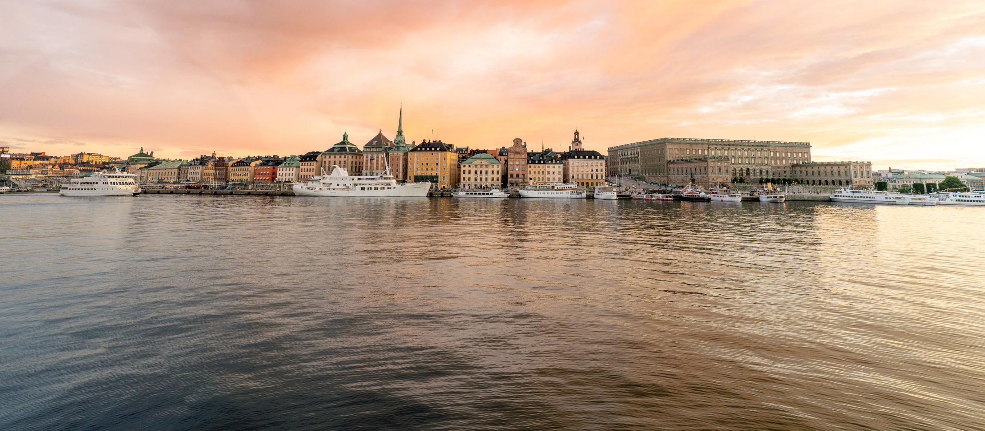 Private City Tour with Royal Palace & Vasa Museum