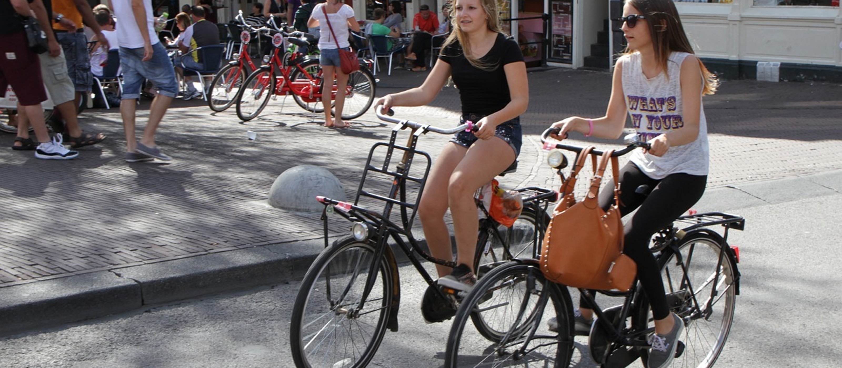Guided Sightseeing Bike Tour