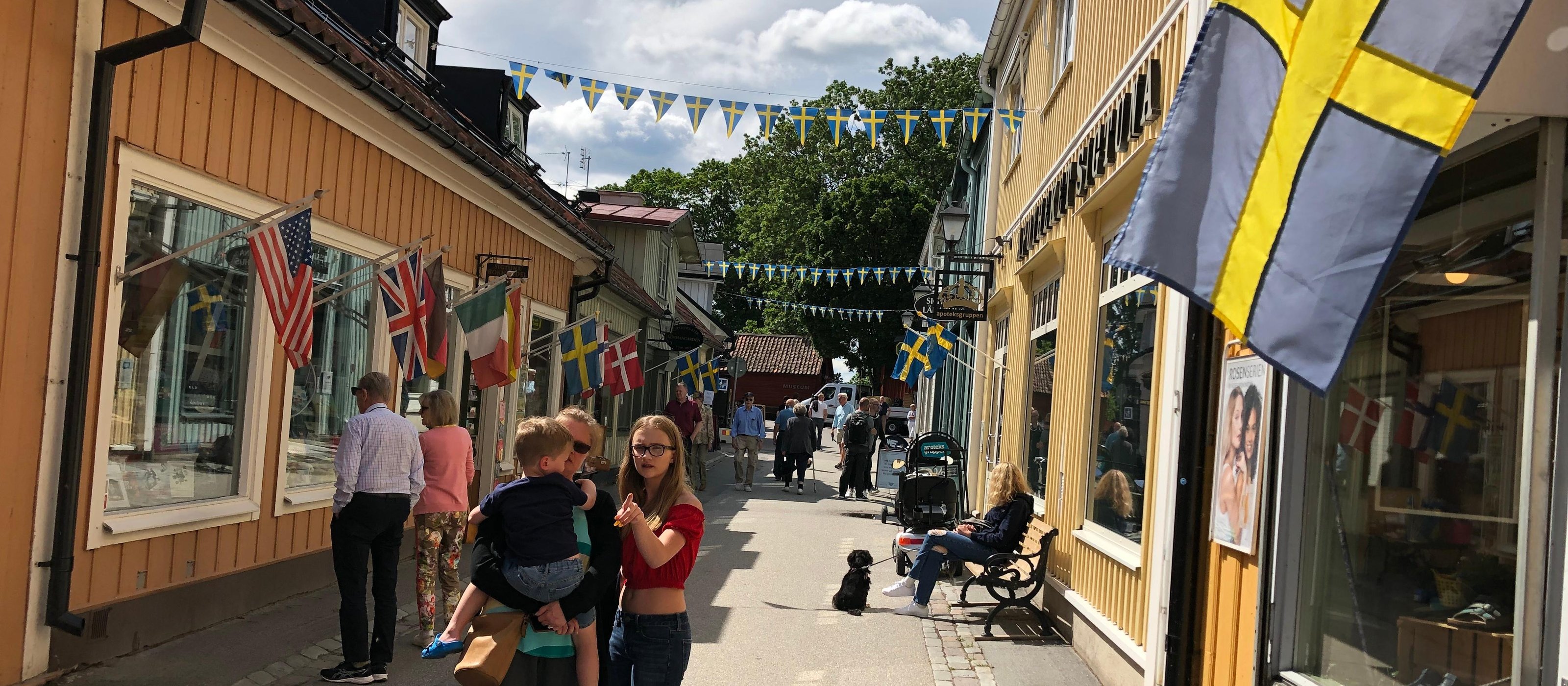 Geführter Tagesausflug in die Stadt Sigtuna