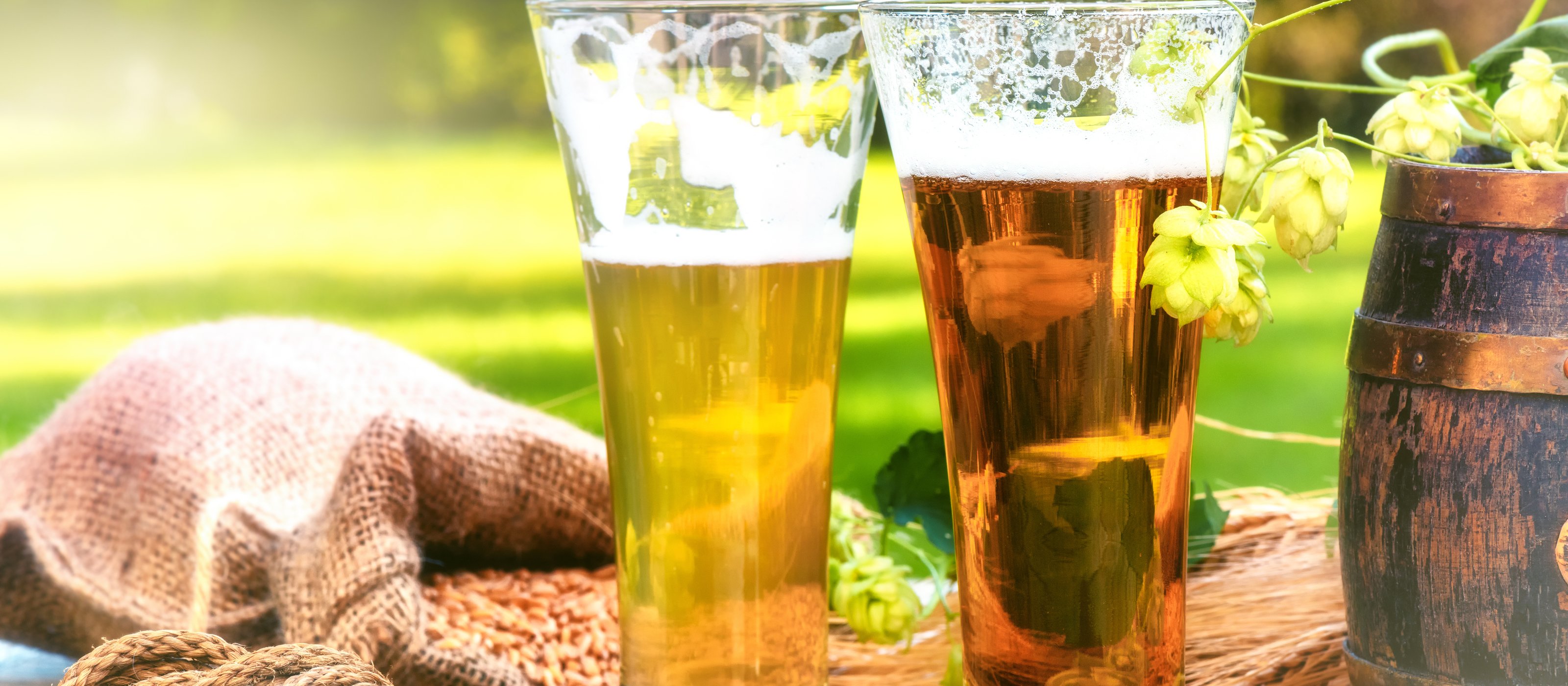 Private German Beer Tasting Tour in Hamburg Old Town