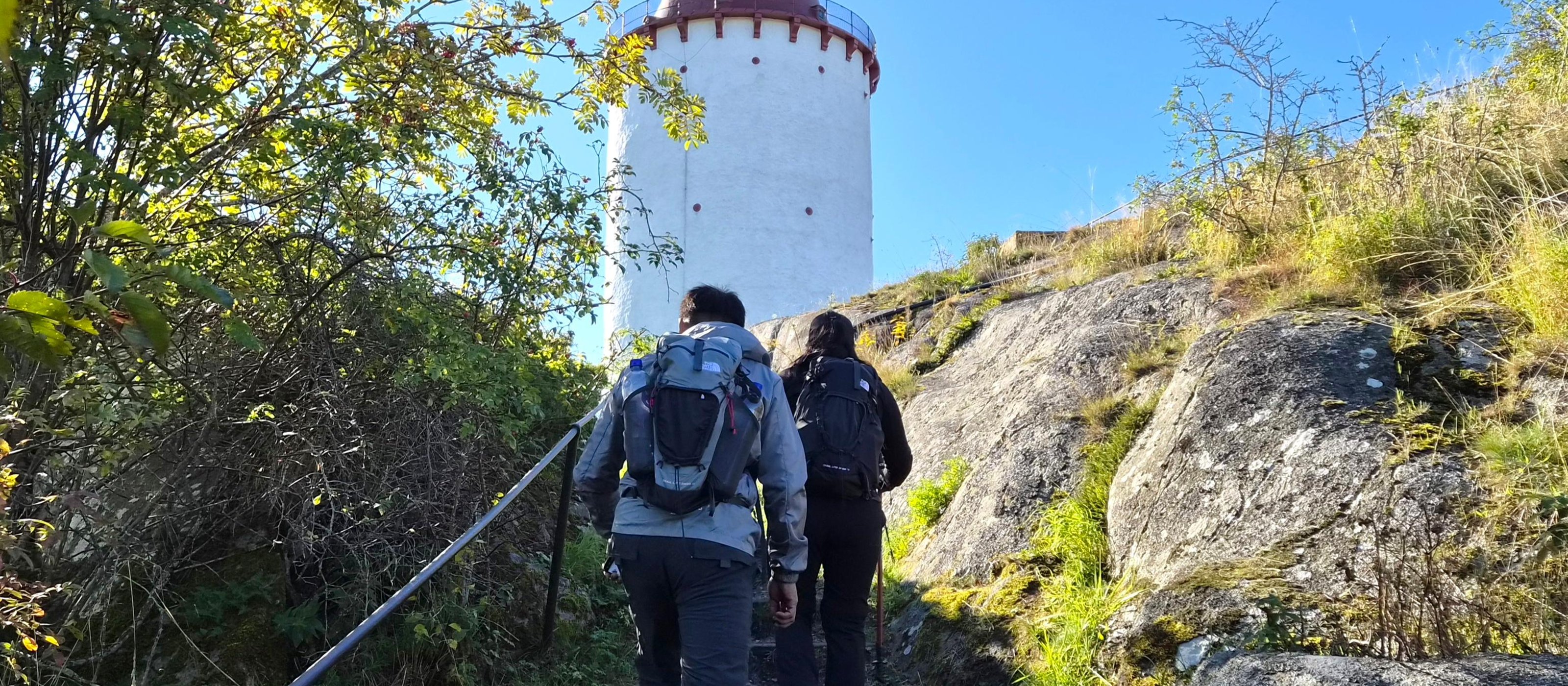 Tyresta-Nationalpark: Sonnenuntergangswanderung + Hin- und Rücktransport + Abendessen