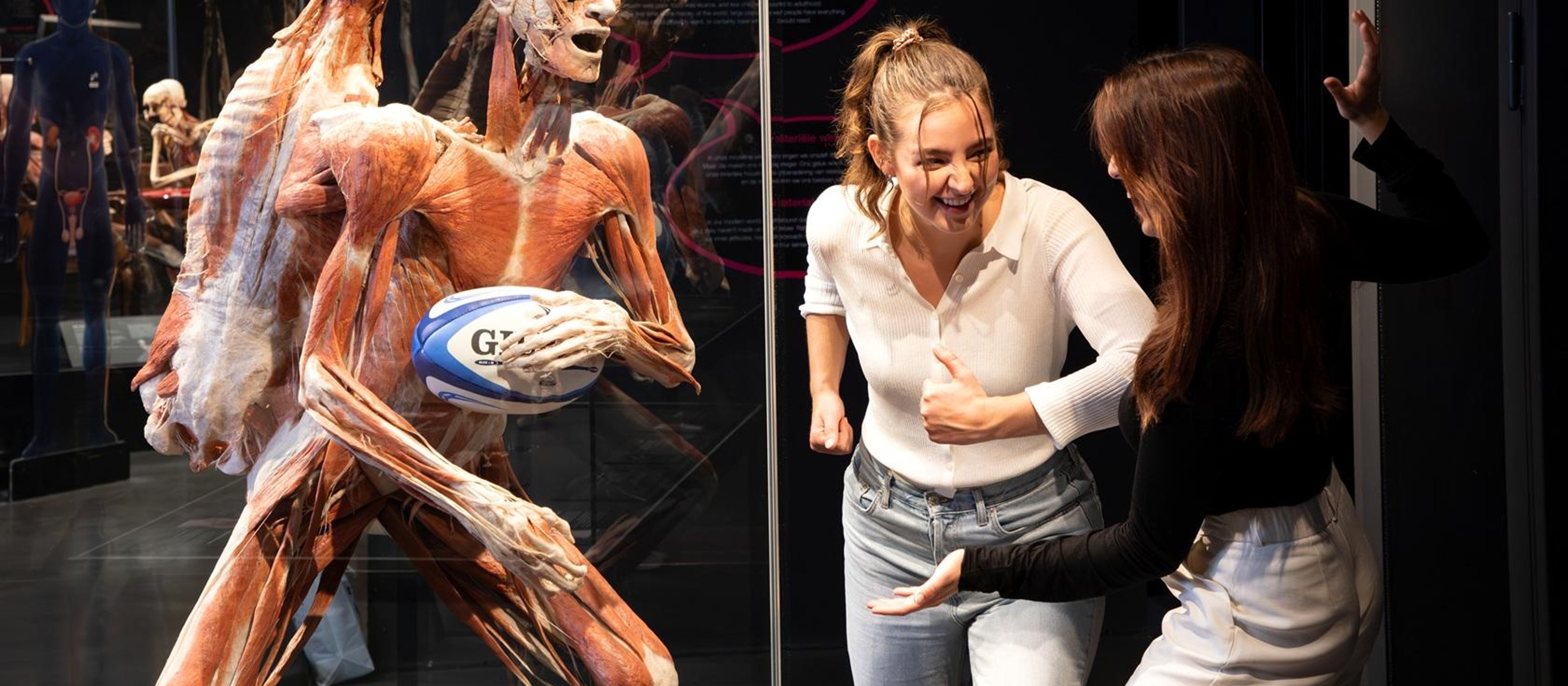 BODY WORLDS - The Happiness Project: Eintritt ohne Anstehen