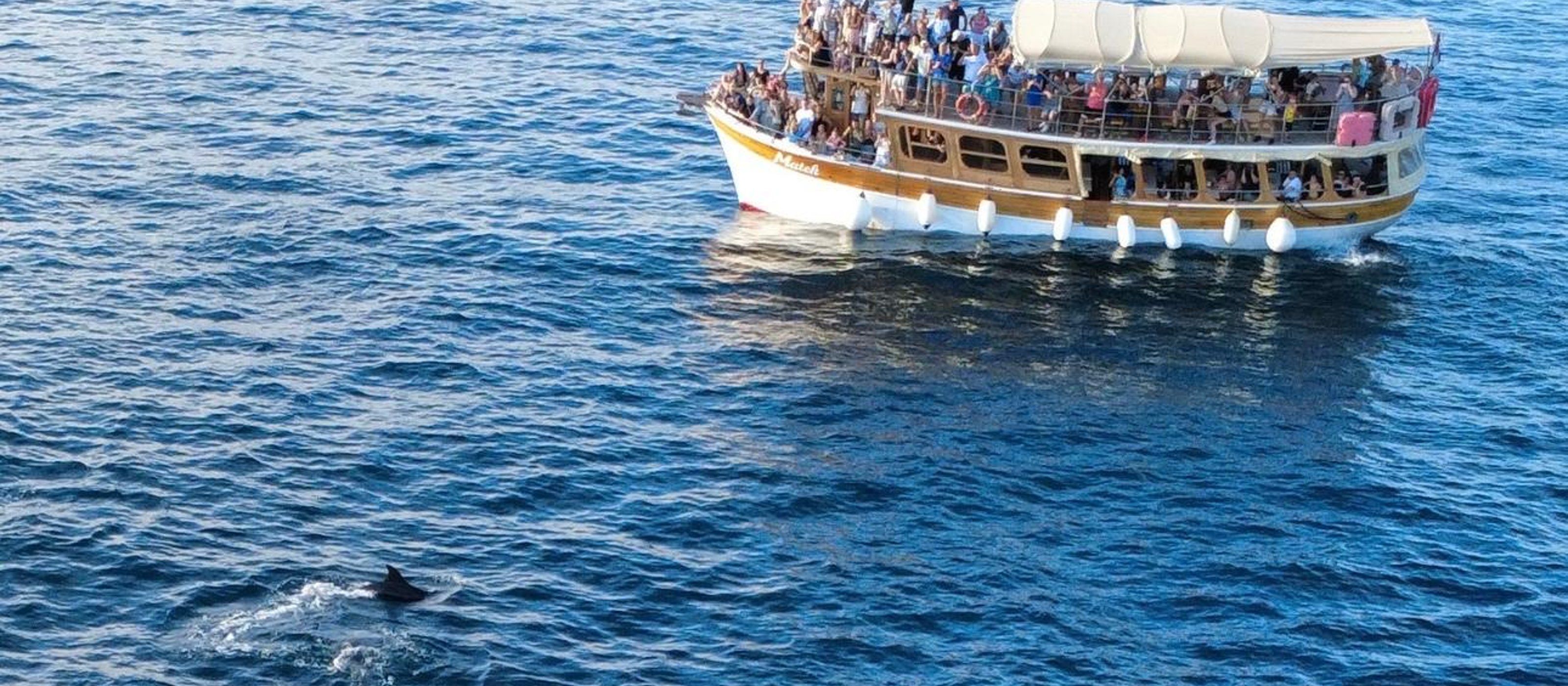 NovigradSunset Dolphin Watching Boat Tour by Matek