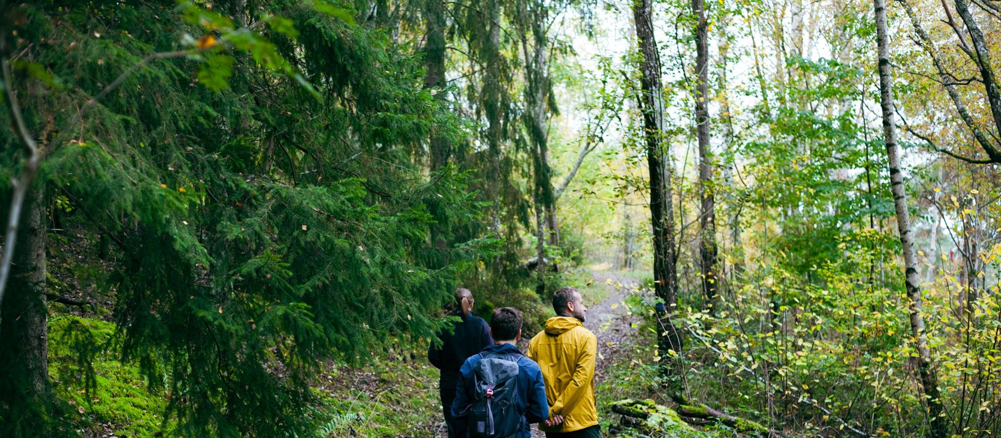 Wanderung, Waldmittagessen und Kaltwasser-Floating
