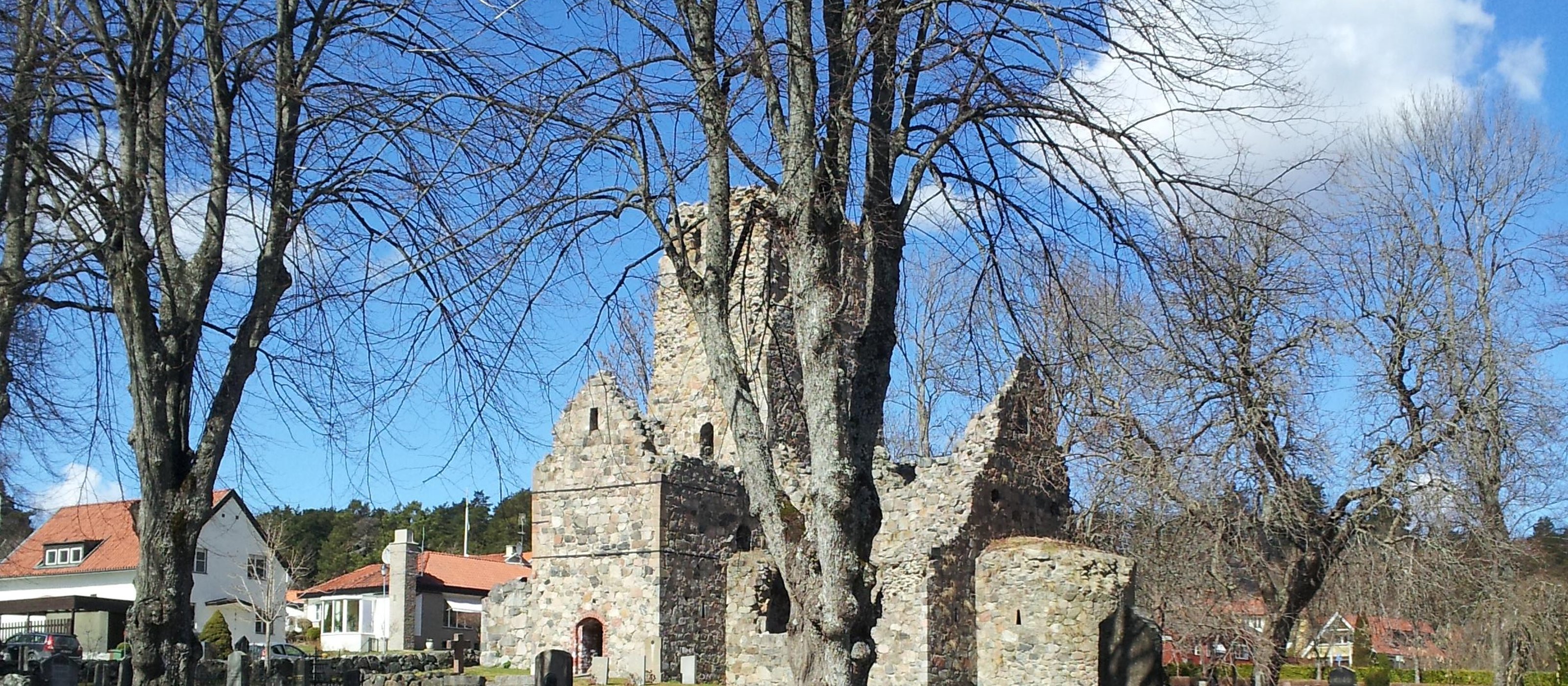 Uppsala city and Sigtuna city 8h day tour from Stockholm