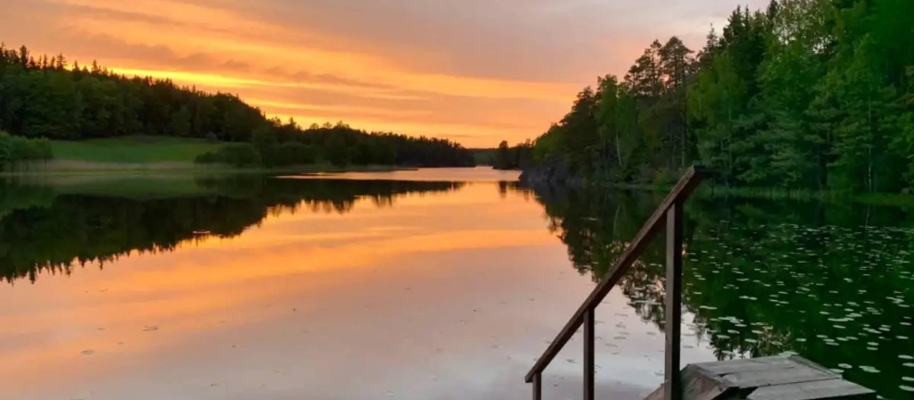 Tyresta-Nationalpark: Sonnenuntergangswanderung + Hin- und Rücktransport + Abendessen