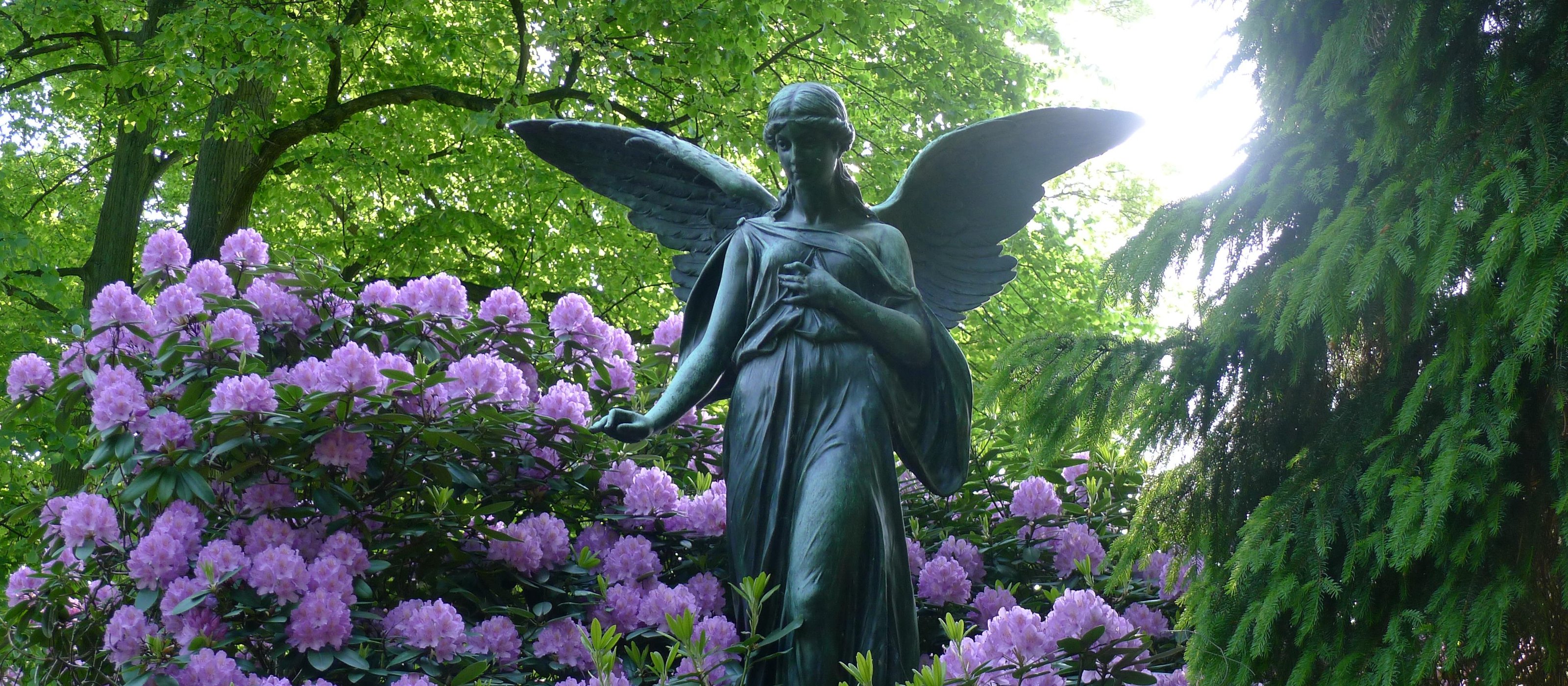 In HamburgOhlsdorf Cemetery: 2-hour customized guided tour