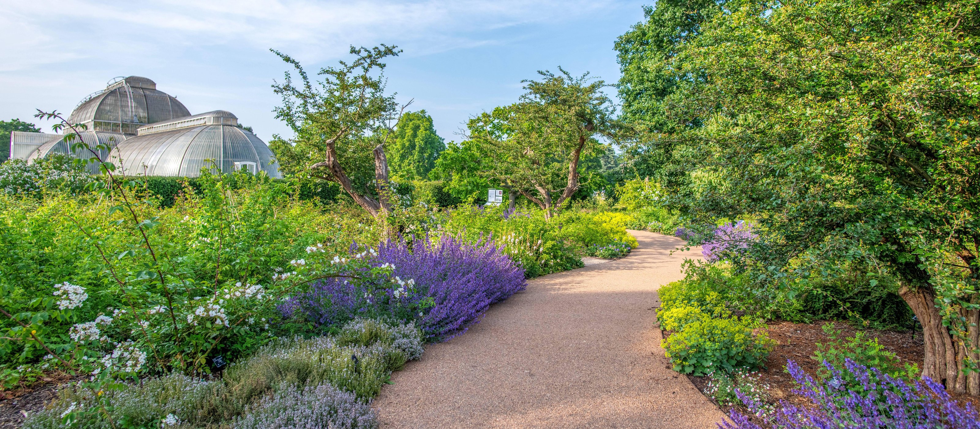 Kew Gardens Eintrittskarte