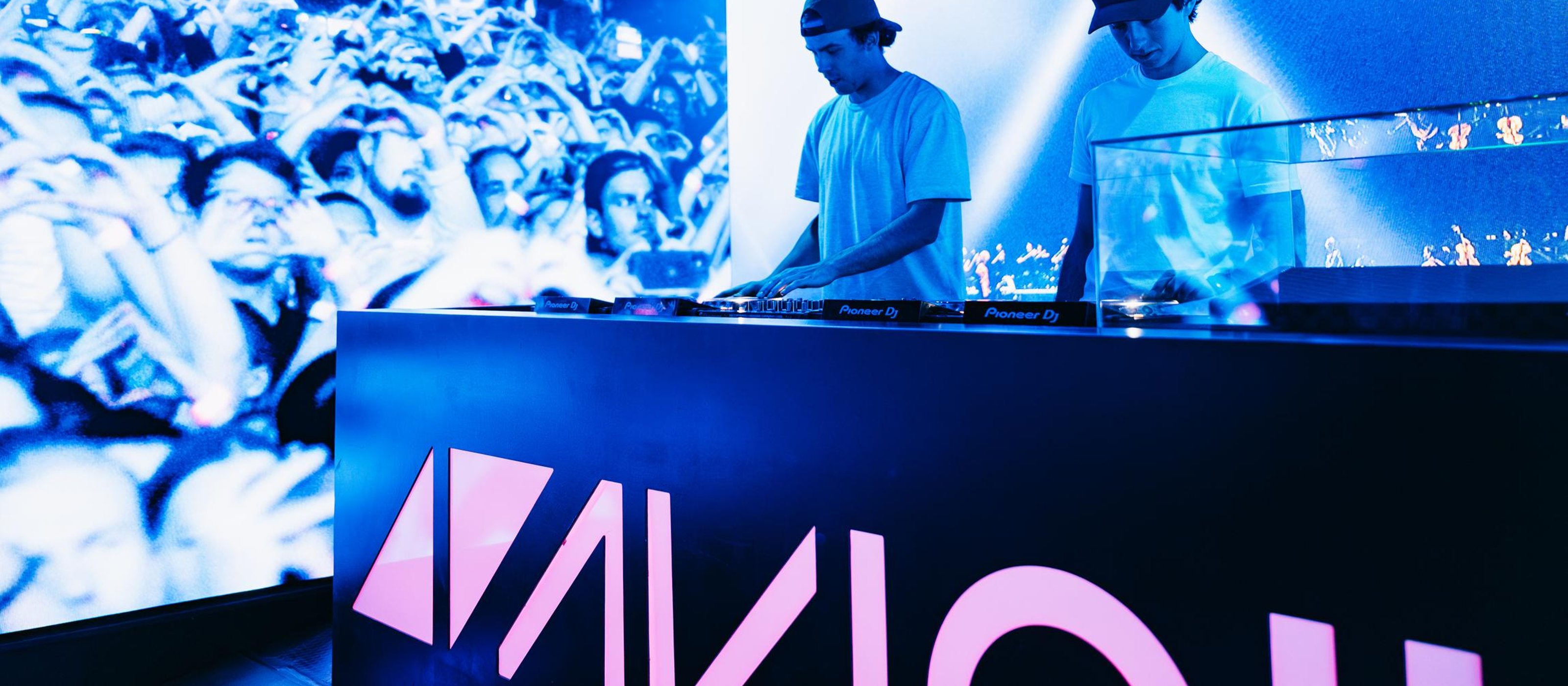Avicii Experience: Eintrittskarte