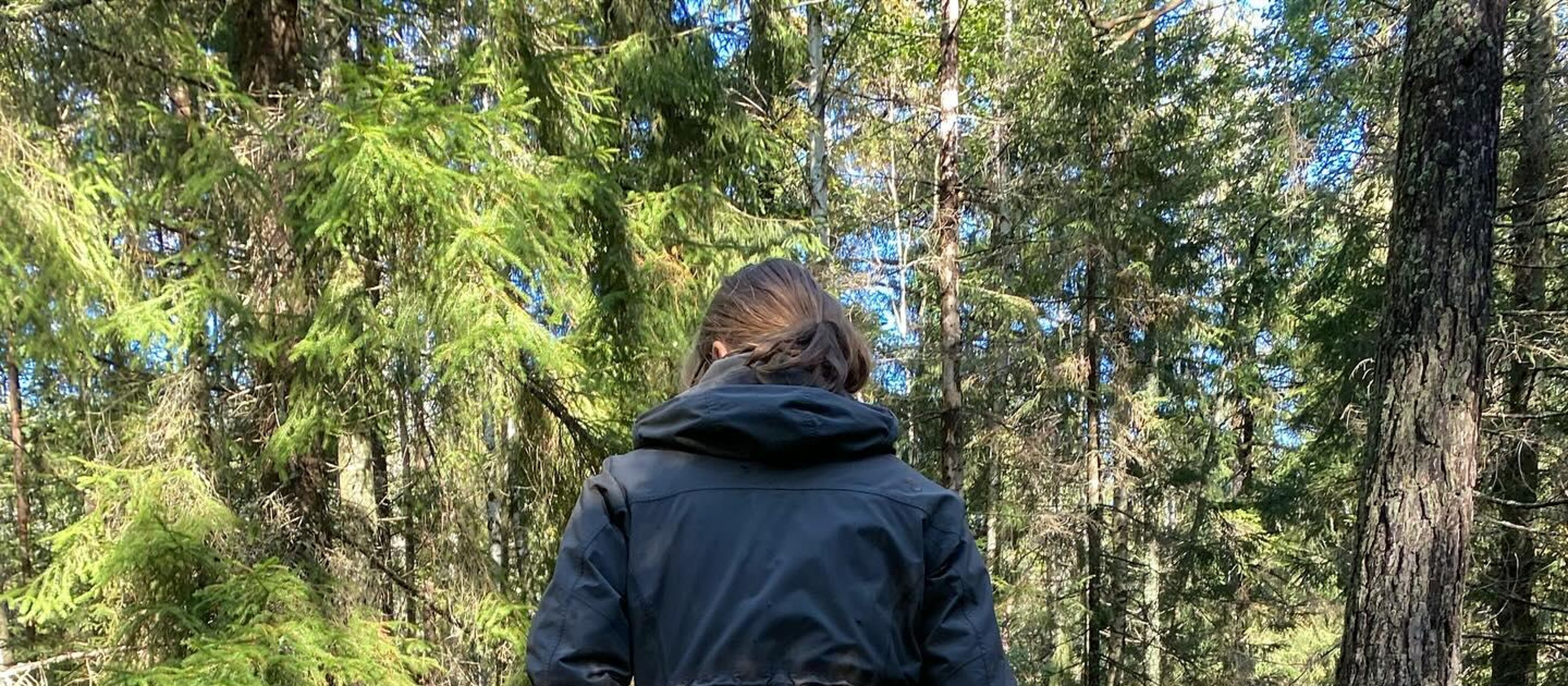 Lidingö Stockholm, Pilz- und Wildpflanzen-Sammeltour mit Experte