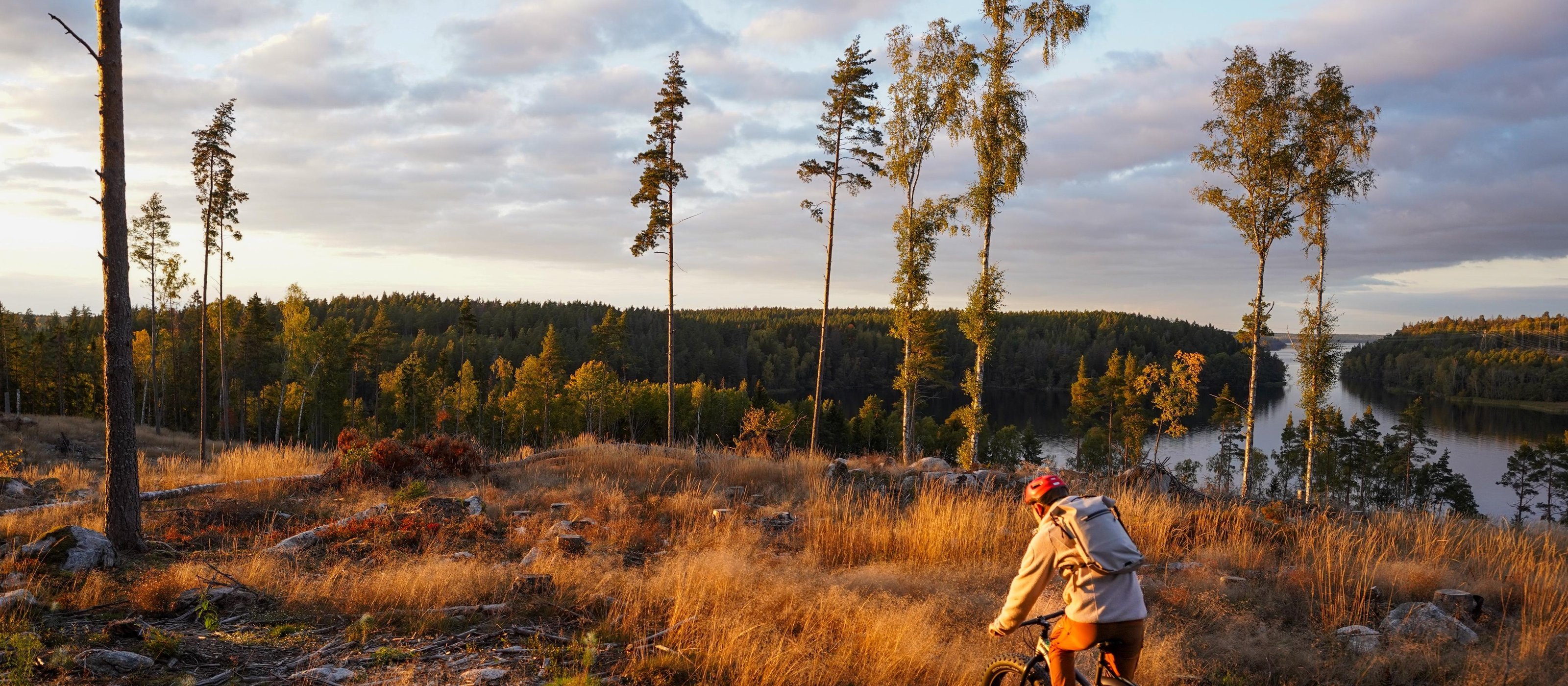 STOCKHOLM · 5 - 6.5 HOURSForest Bike Tour with Sauna and Homemade LunchSmall group