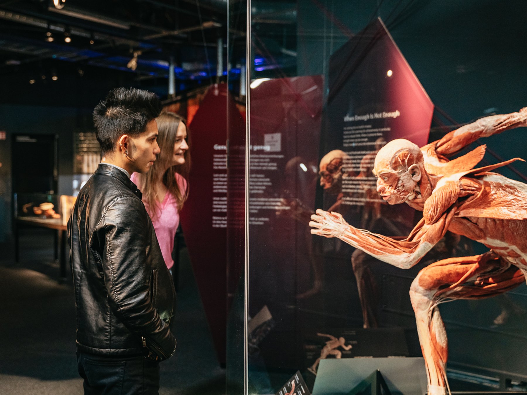 BODY WORLDS Berlin - The First Museum of BODY WORLDS
