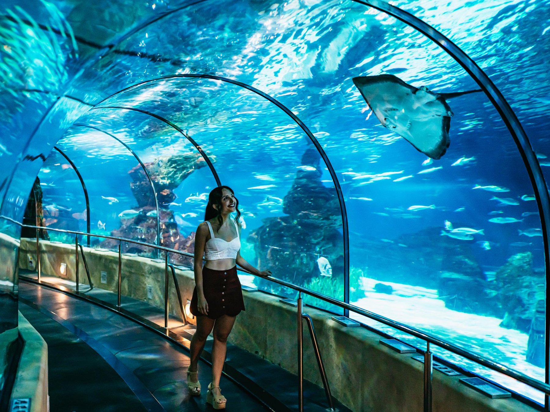 Barcelona Aquarium: Eintrittskarte